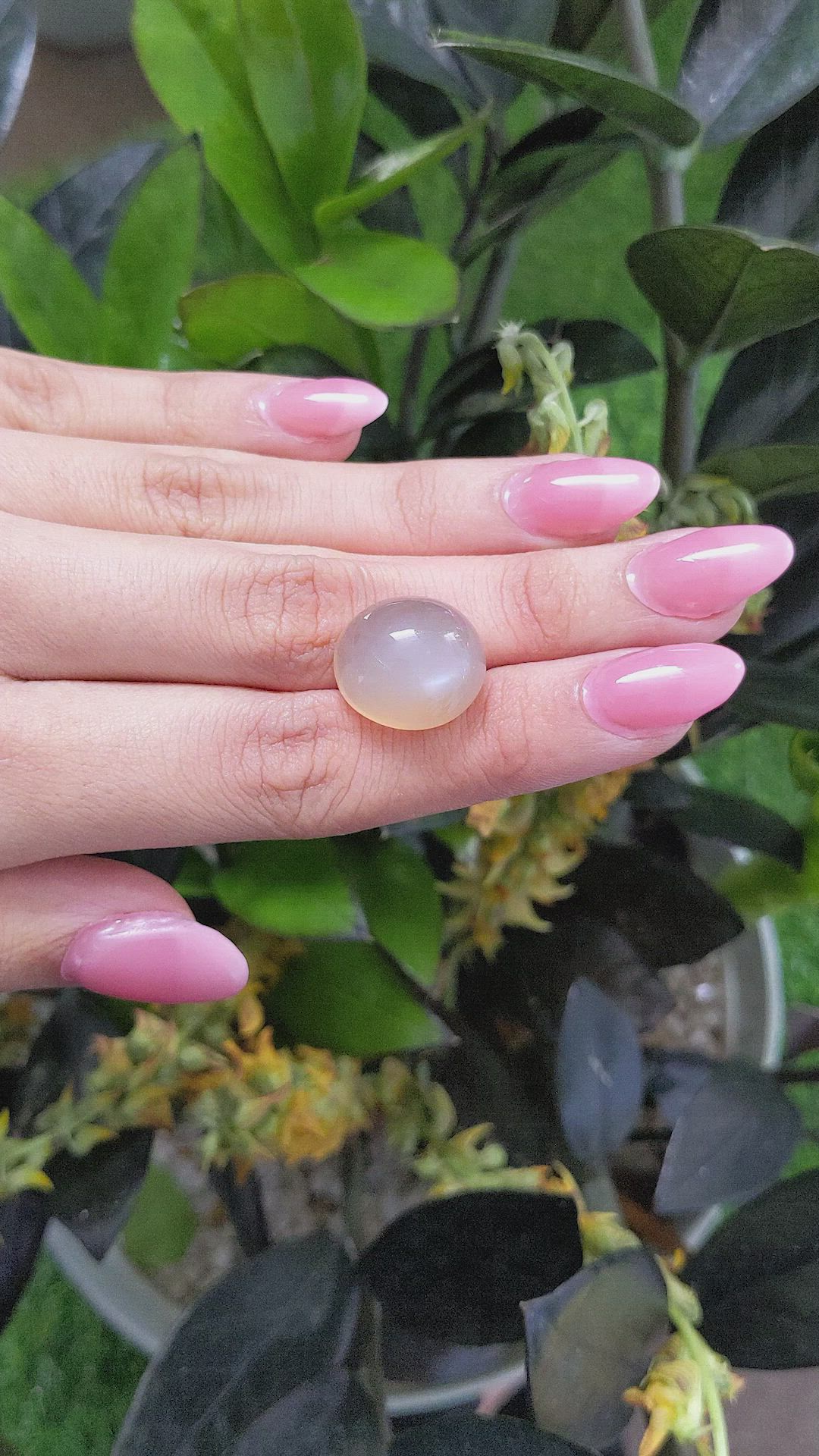 20.16 Ct. Cabochon Moonstone from Ceylon (Sri Lanka) Size Video