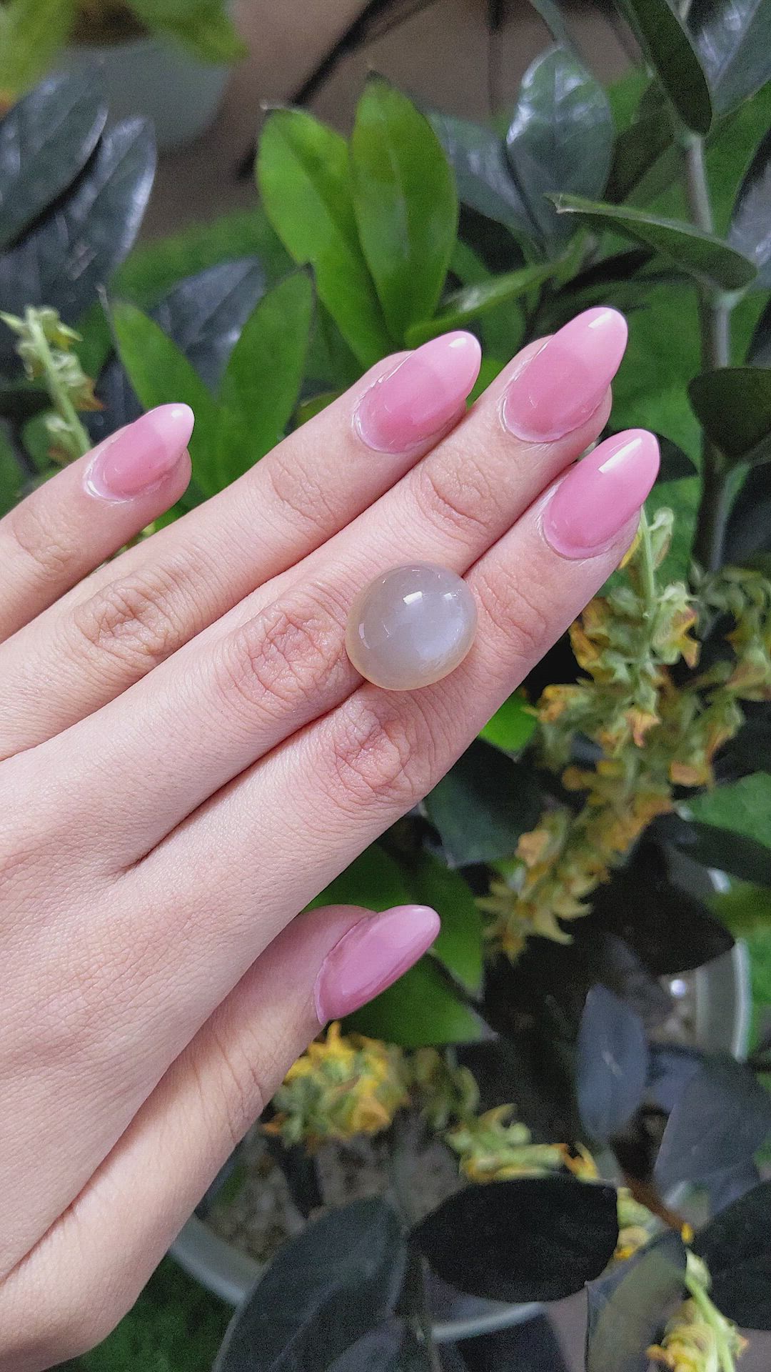 20.16 Ct. Cabochon Moonstone from Ceylon (Sri Lanka) Size Video