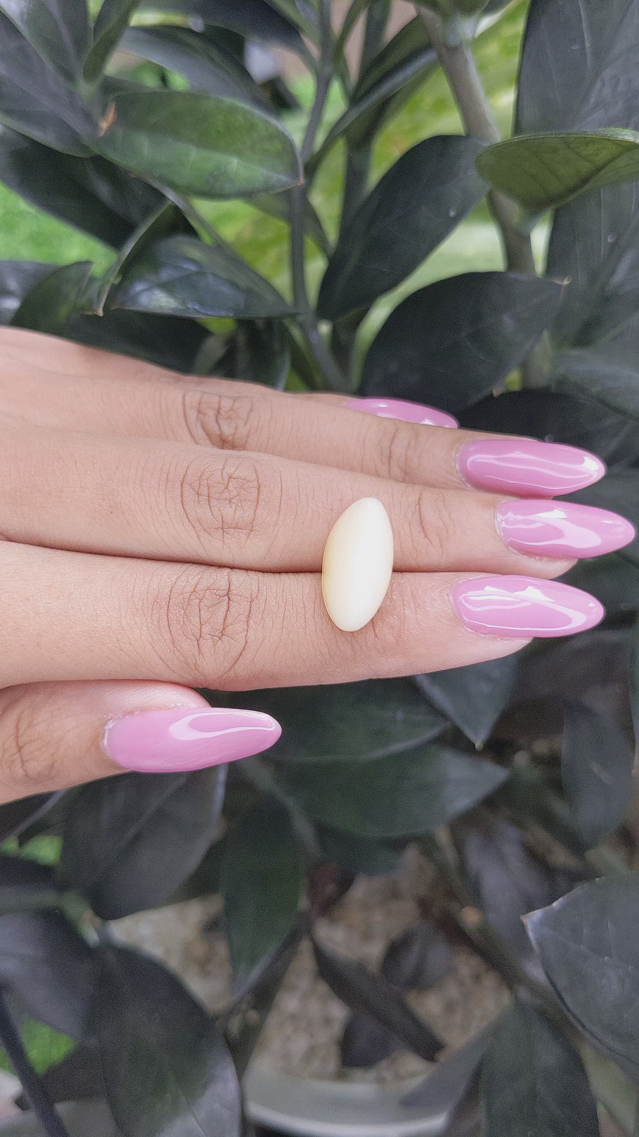 11.01 Ct. Cabochon Moonstone from Ceylon (Sri Lanka) Size Video