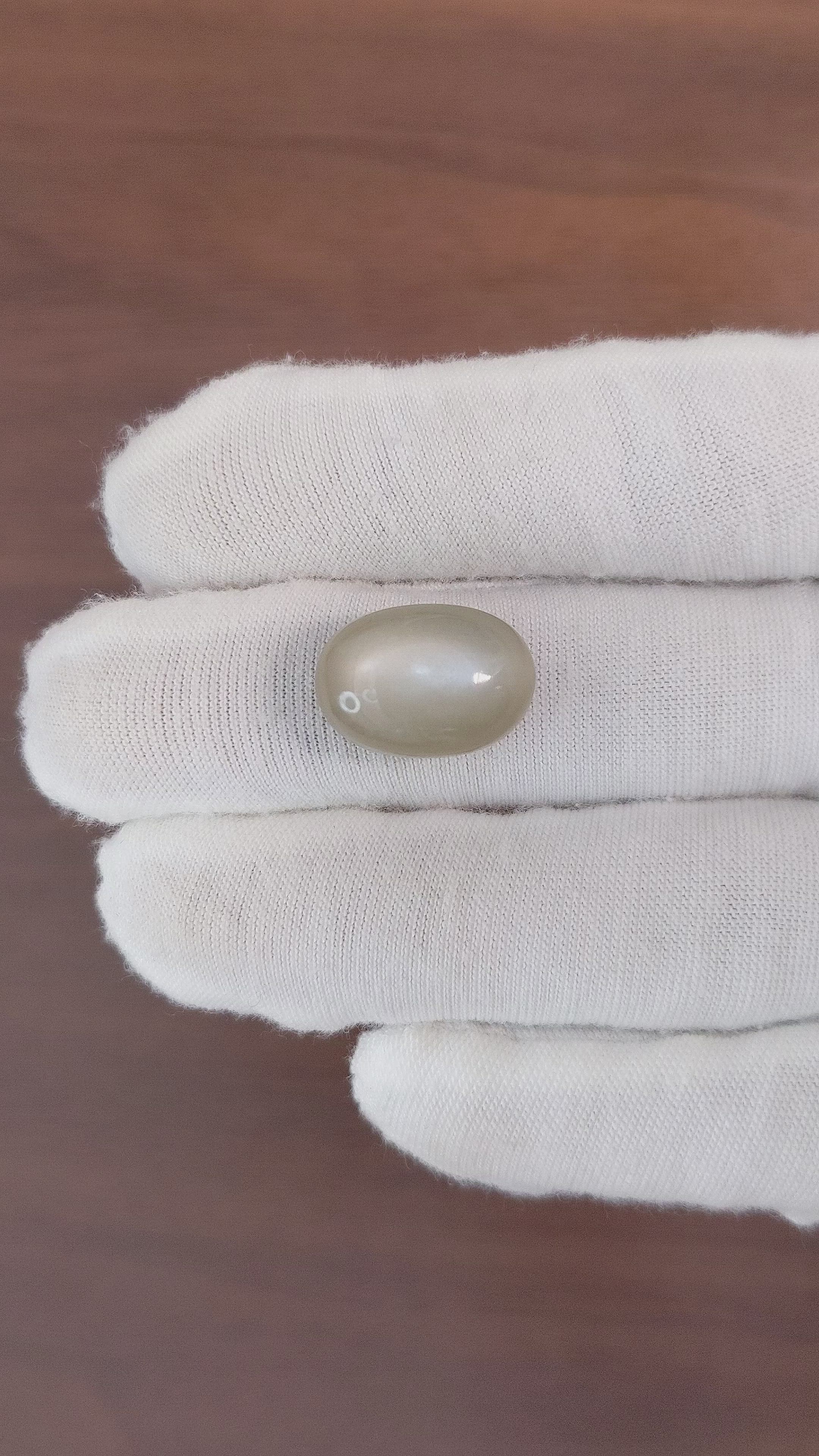 15.68 Ct. Cabochon Moonstone from Ceylon (Sri Lanka) Size Video
