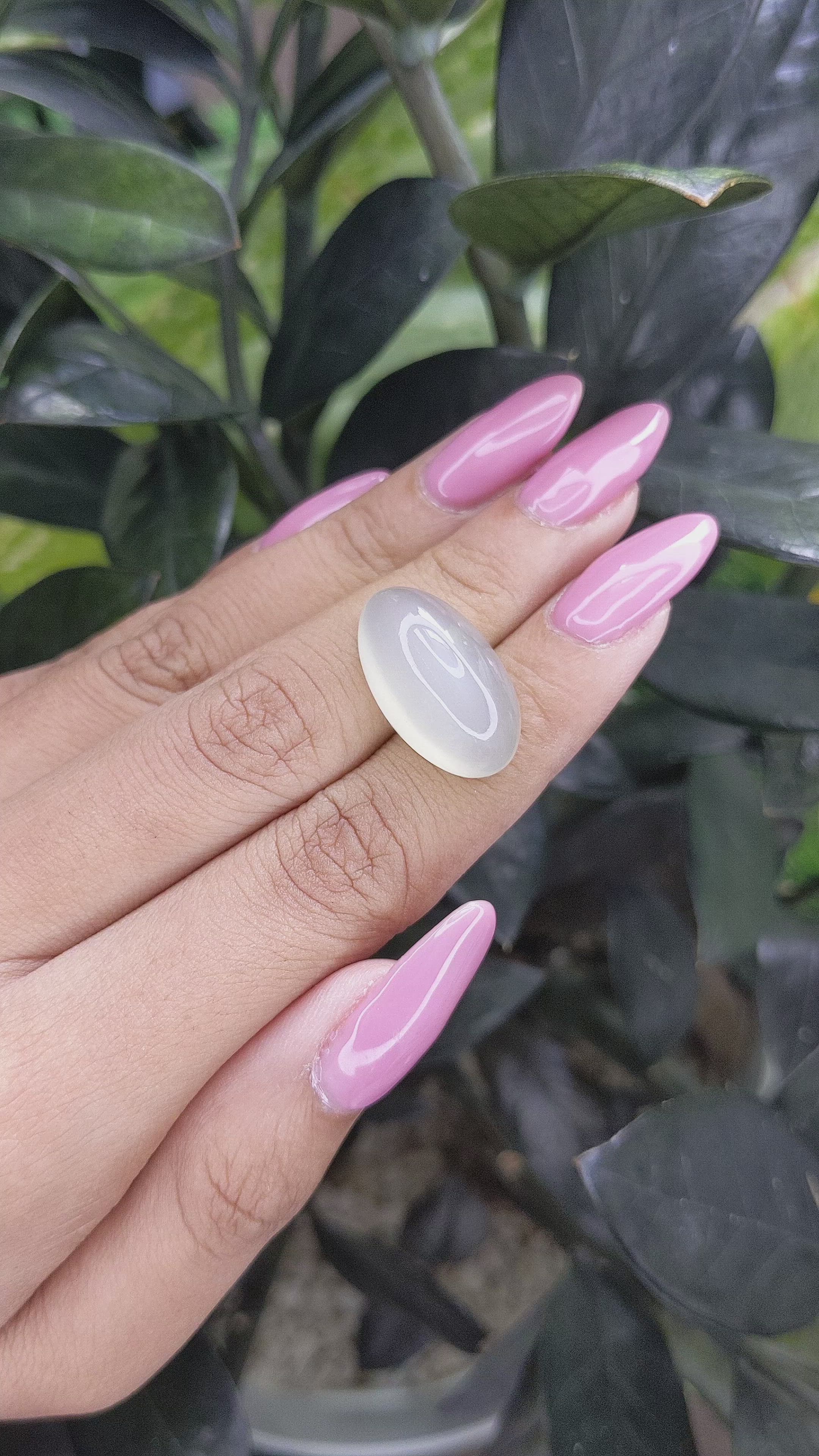 17.91 Ct. Cabochon Moonstone from Ceylon (Sri Lanka) Size Video