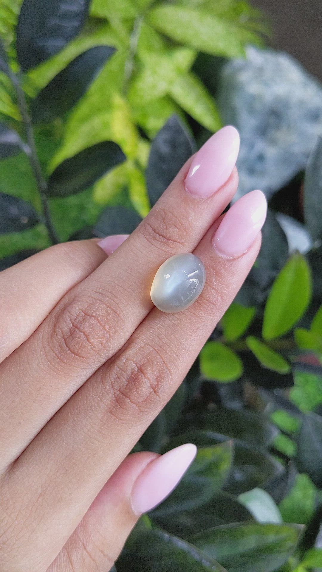 12.46 Ct. Cabochon Moonstone from Ceylon (Sri Lanka) Size Video