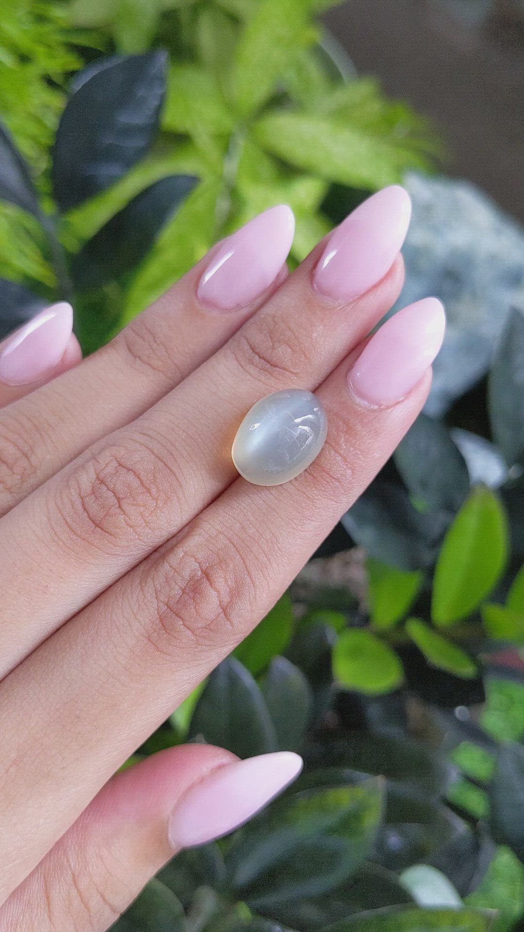 12.46 Ct. Cabochon Moonstone from Ceylon (Sri Lanka) Size Video