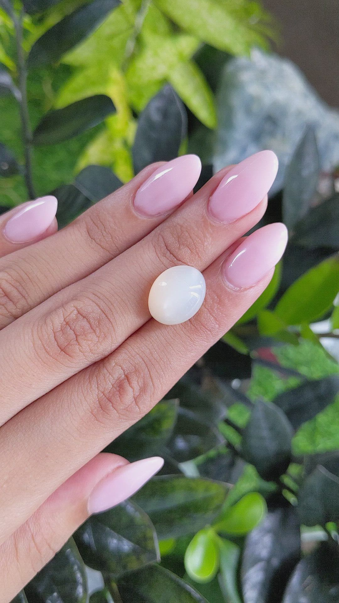10.59 Ct. Cabochon Moonstone from Ceylon (Sri Lanka) Size Video