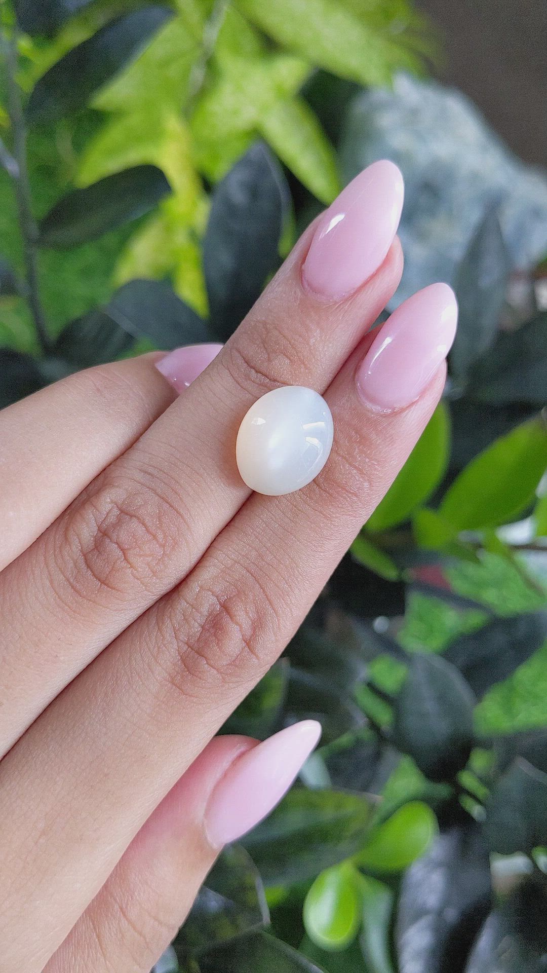 10.59 Ct. Cabochon Moonstone from Ceylon (Sri Lanka) Size Video