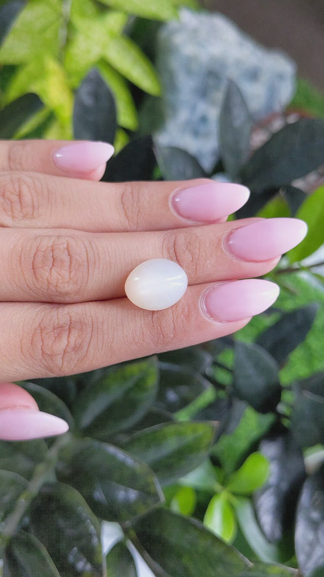 10.59 Ct. Cabochon Moonstone from Ceylon (Sri Lanka) Size Video