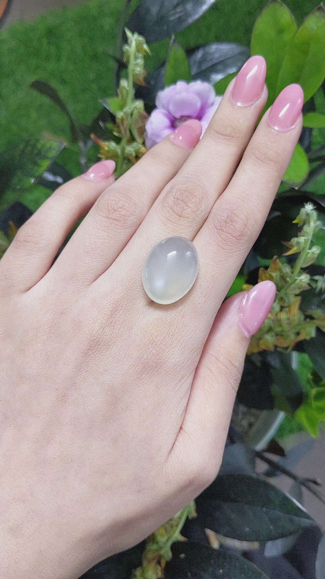 26.90 Ct. Cabochon Moonstone from Ceylon (Sri Lanka) Size Video