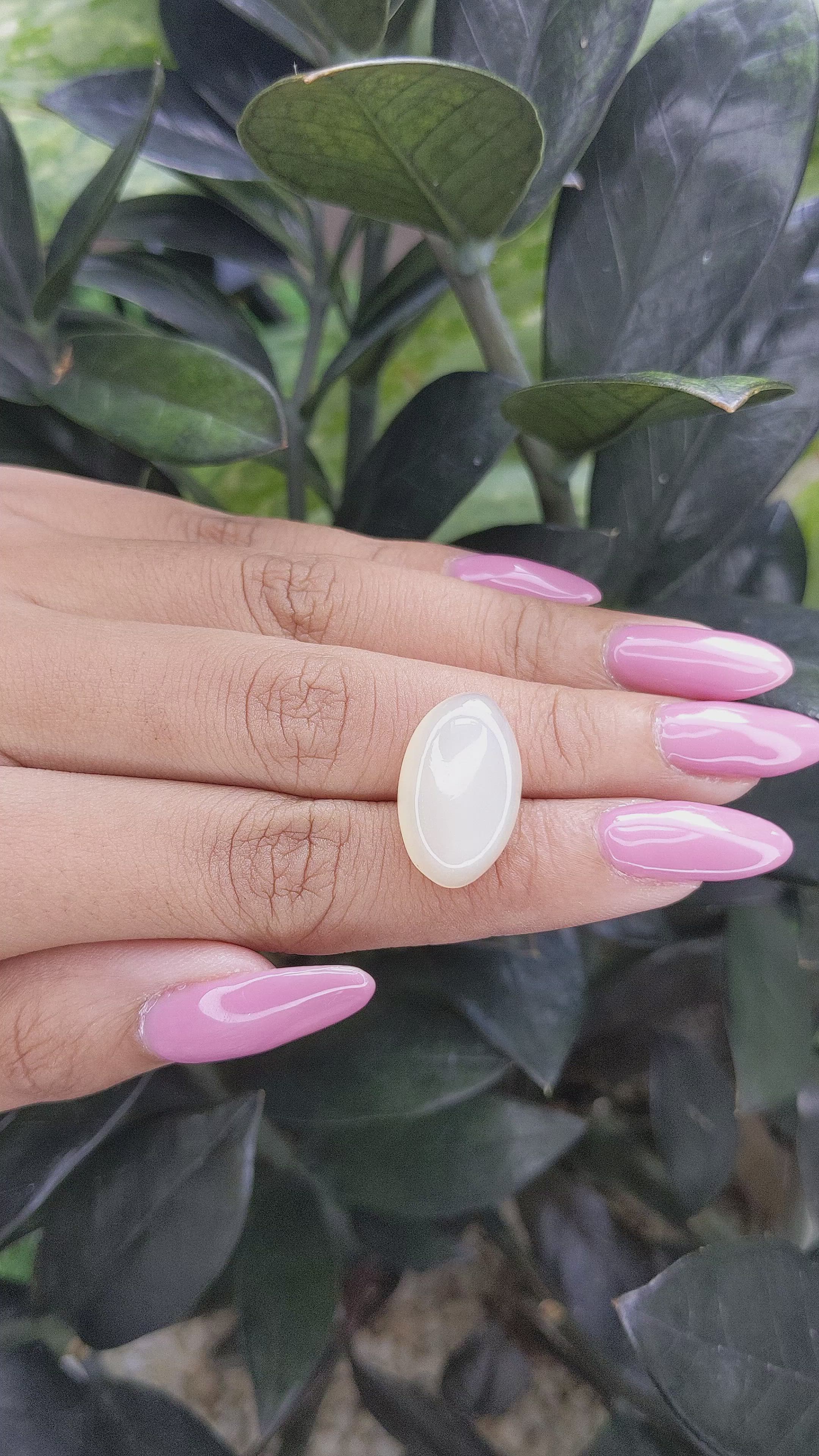 12.05 Ct. Cabochon Moonstone from Ceylon (Sri Lanka) Size Video