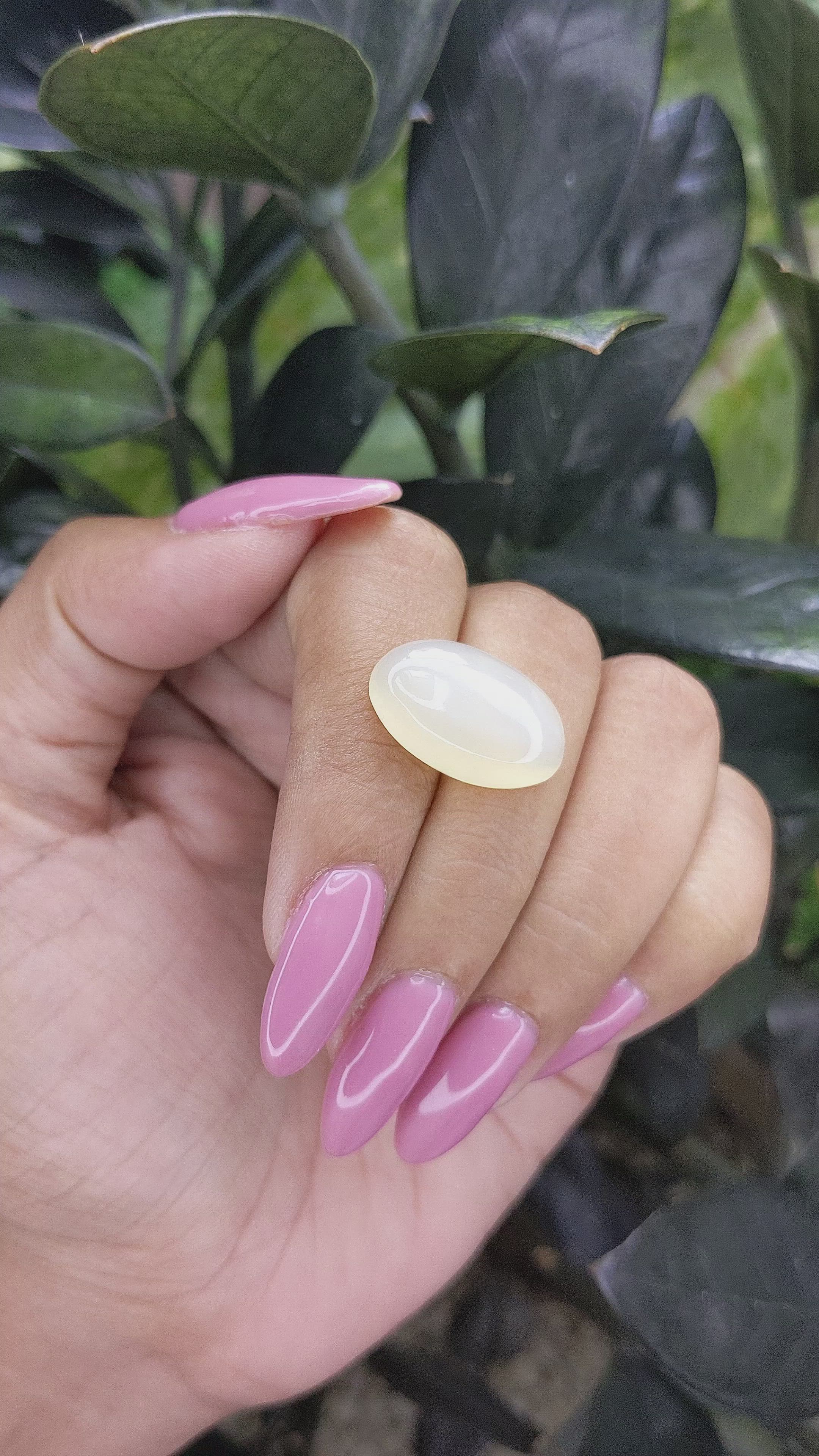 12.05 Ct. Cabochon Moonstone from Ceylon (Sri Lanka) Size Video