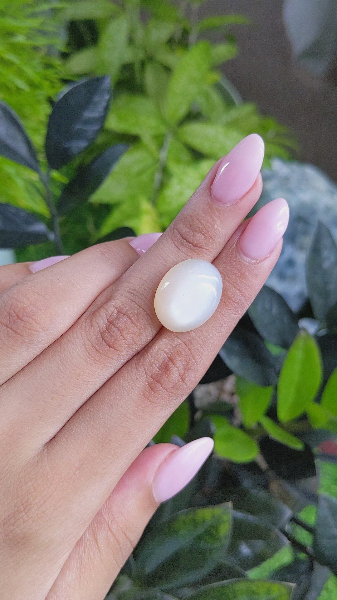 18.72 Ct. Cabochon Moonstone from Ceylon (Sri Lanka) Size Video
