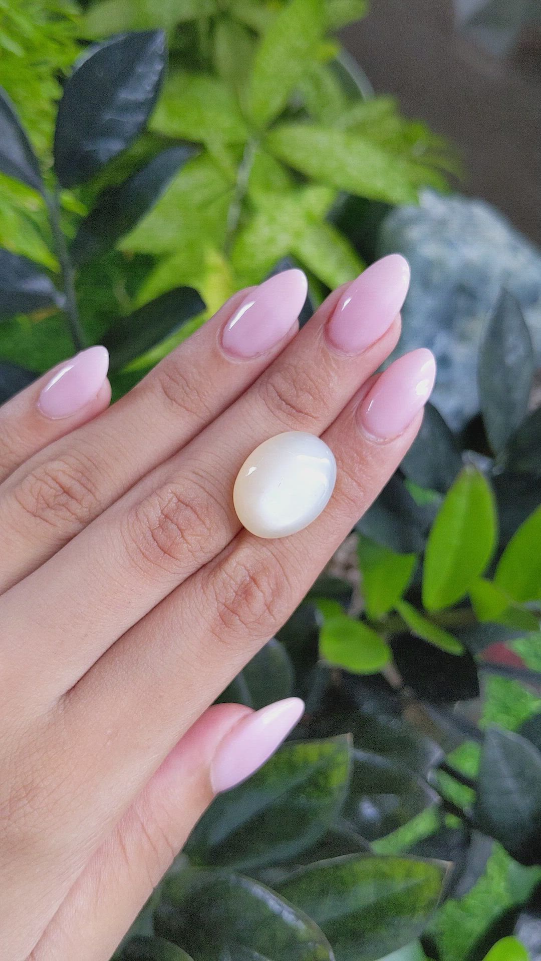 18.72 Ct. Cabochon Moonstone from Ceylon (Sri Lanka) Size Video