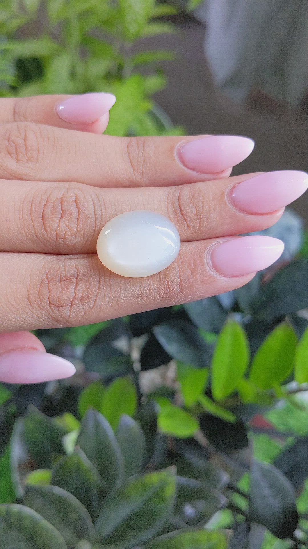 18.72 Ct. Cabochon Moonstone from Ceylon (Sri Lanka) Size Video