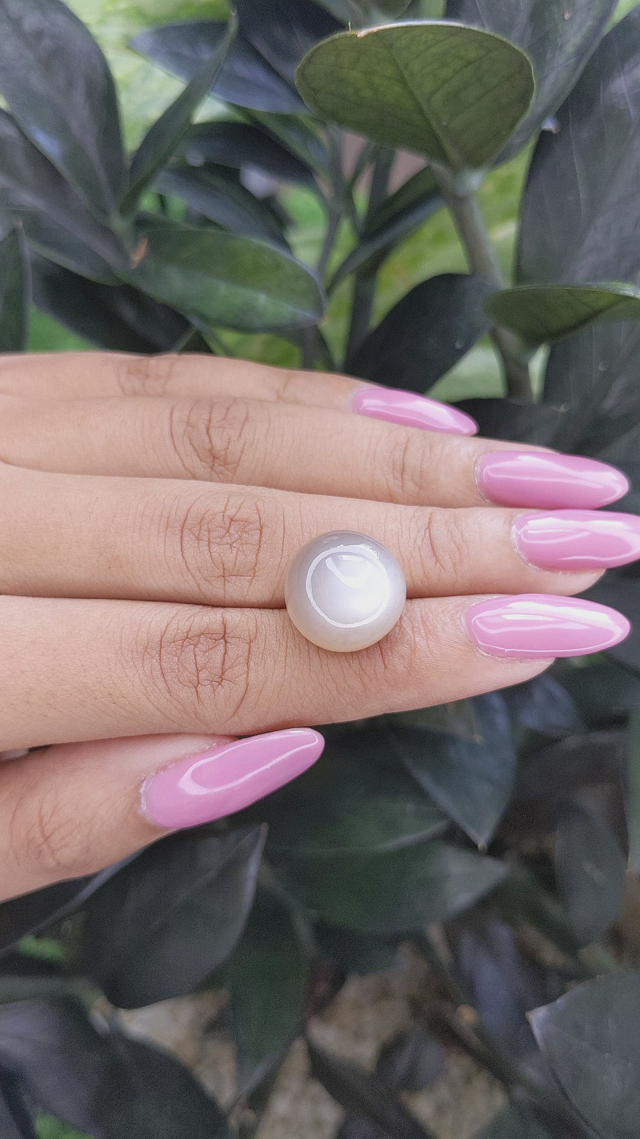 16.85 Ct. Cabochon Moonstone from Ceylon (Sri Lanka) Size Video