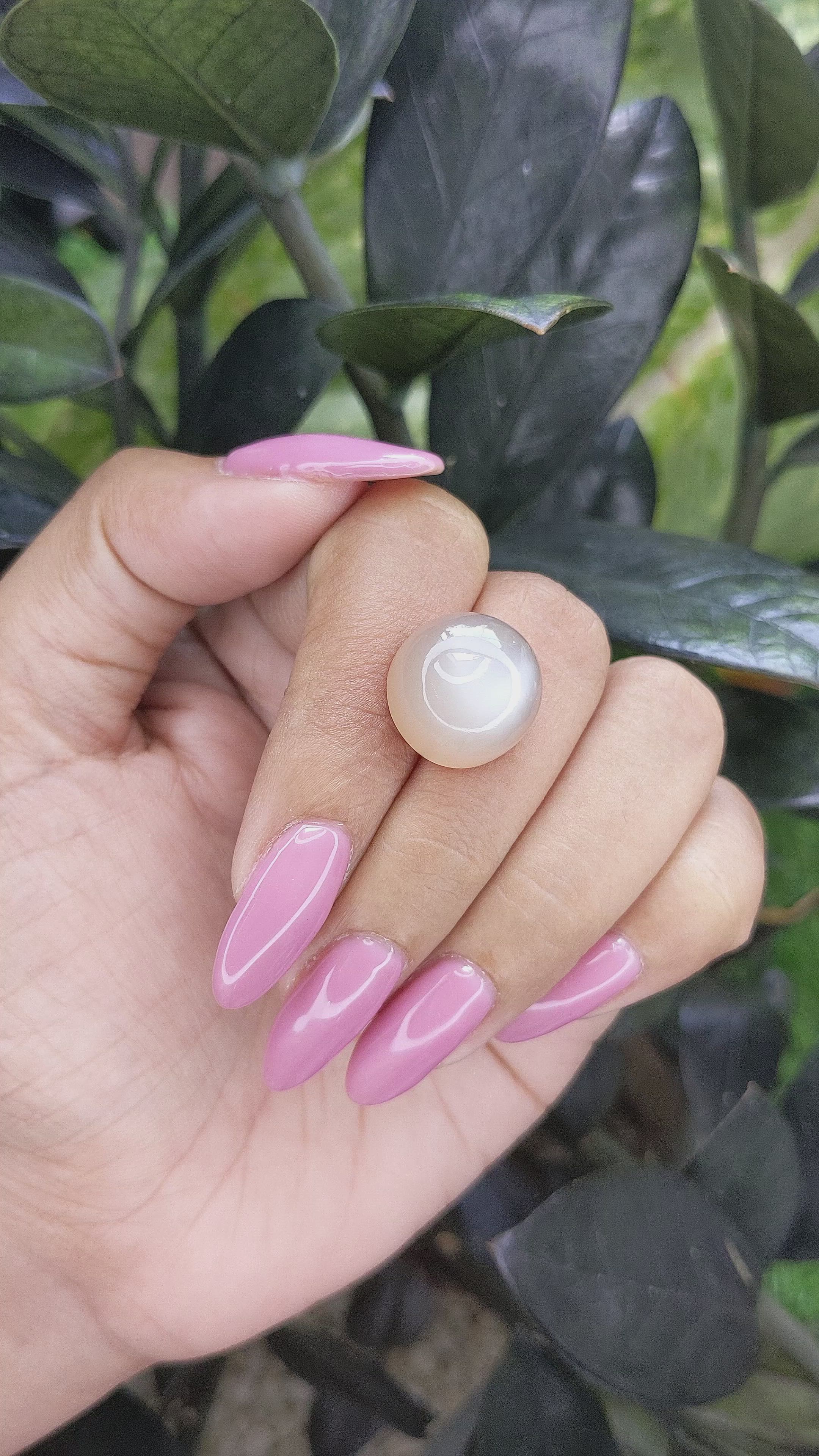 16.85 Ct. Cabochon Moonstone from Ceylon (Sri Lanka) Size Video