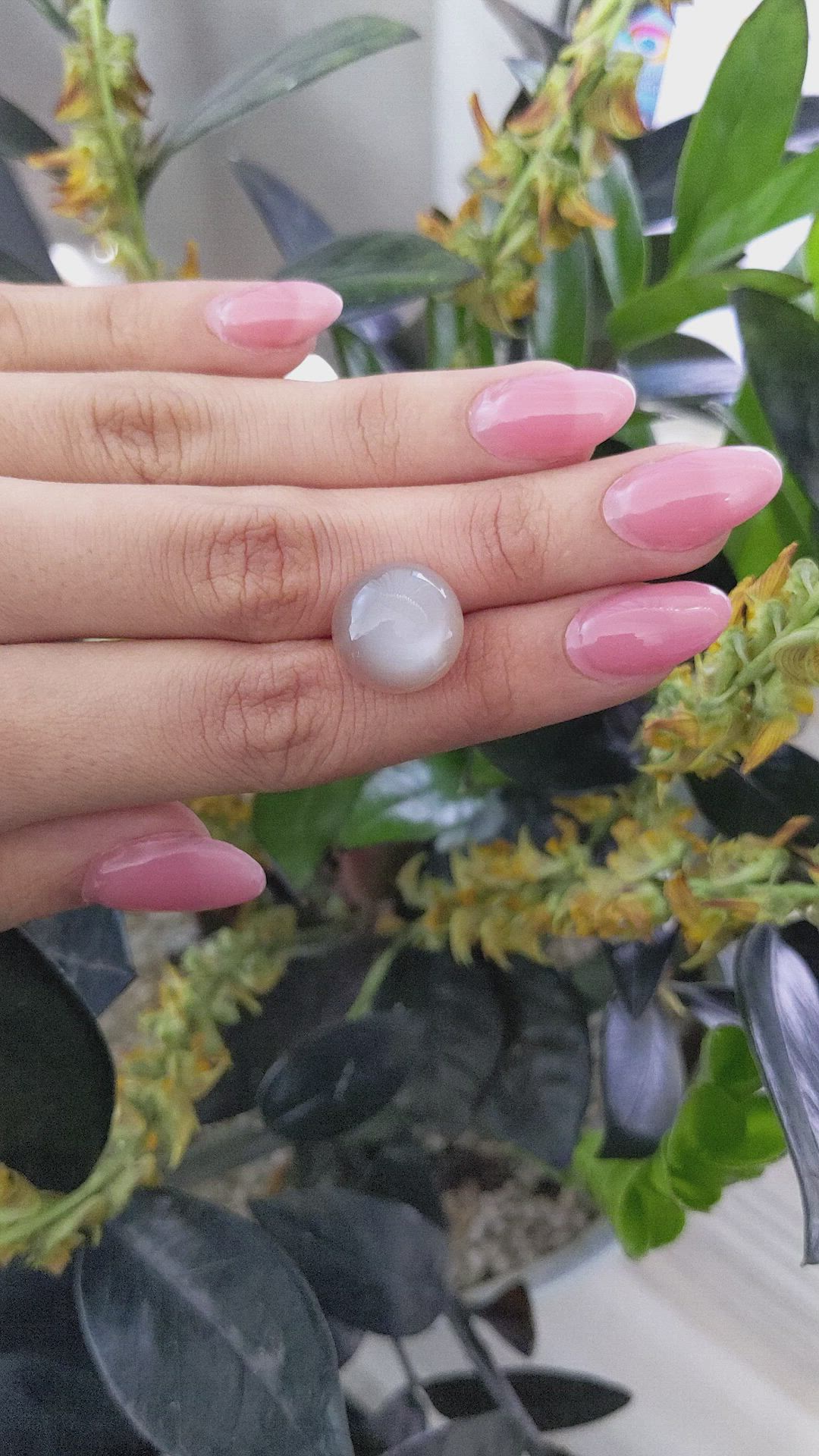 16.85 Ct. Cabochon Moonstone from Ceylon (Sri Lanka) Size Video