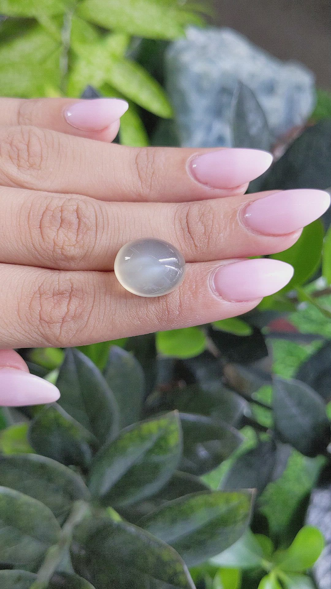 16.41 Ct. Cabochon Moonstone from Ceylon (Sri Lanka) Size Video