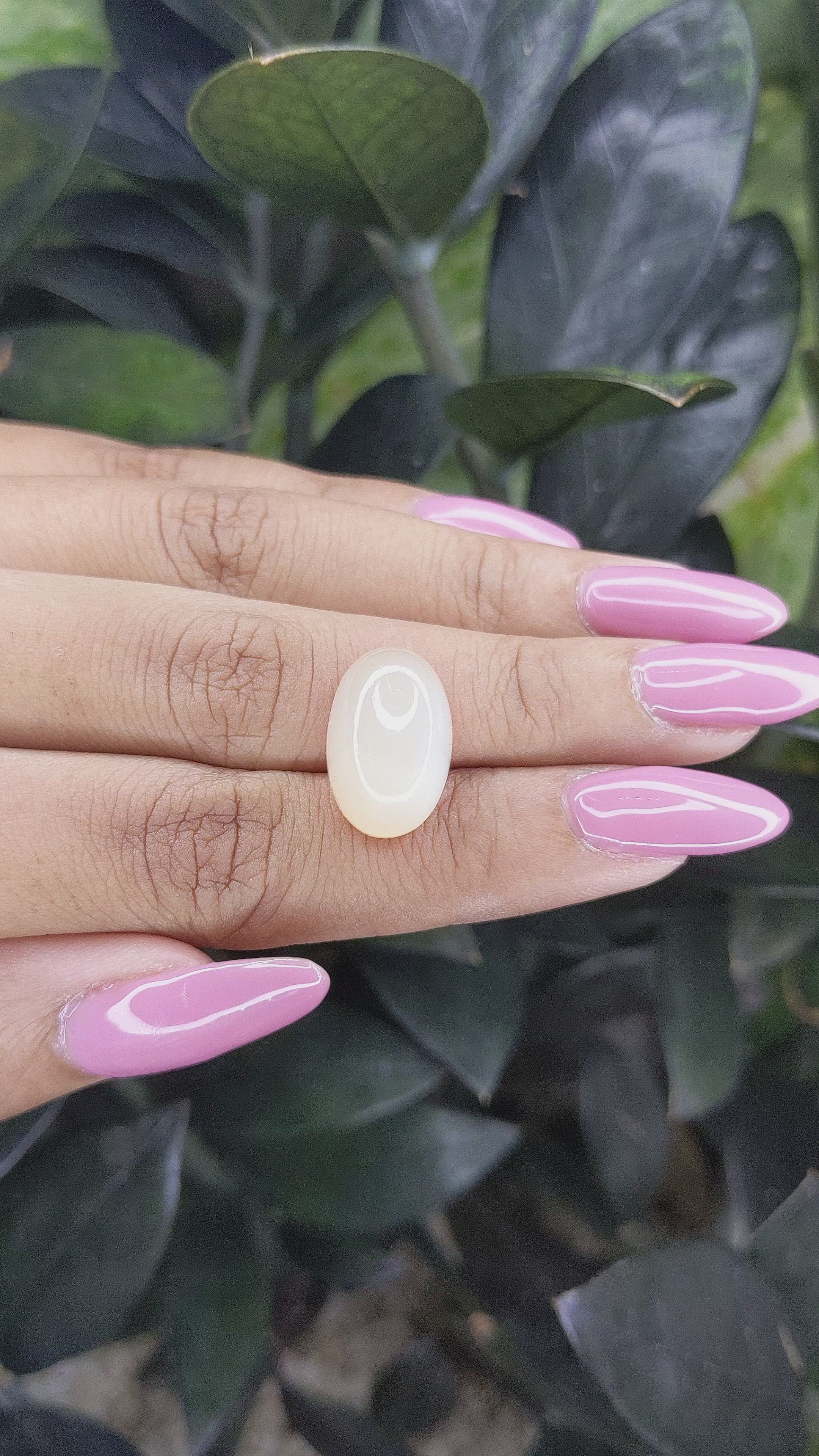14.16 Ct. Cabochon Moonstone from Ceylon (Sri Lanka) Size Video