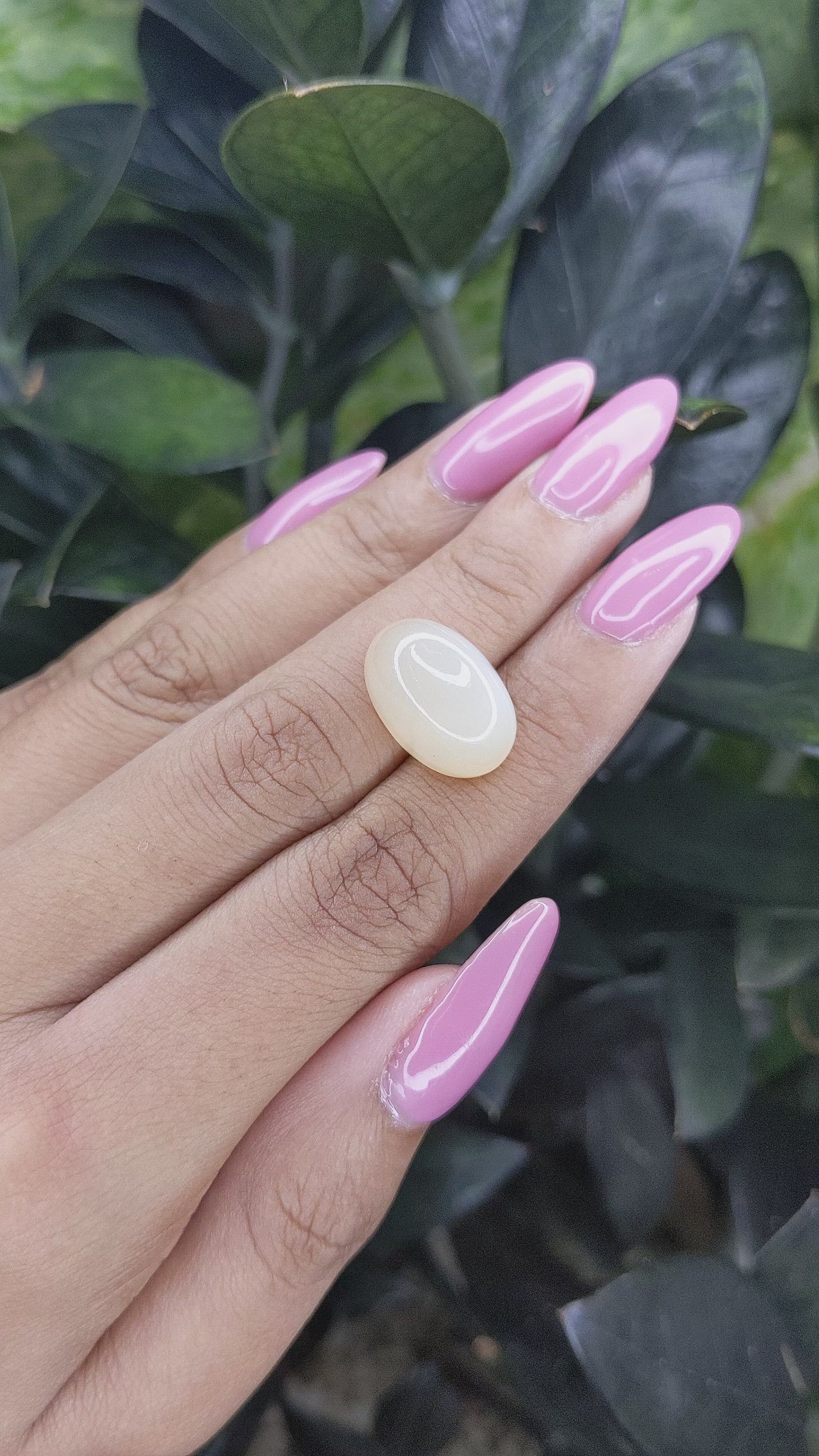 14.16 Ct. Cabochon Moonstone from Ceylon (Sri Lanka) Size Video