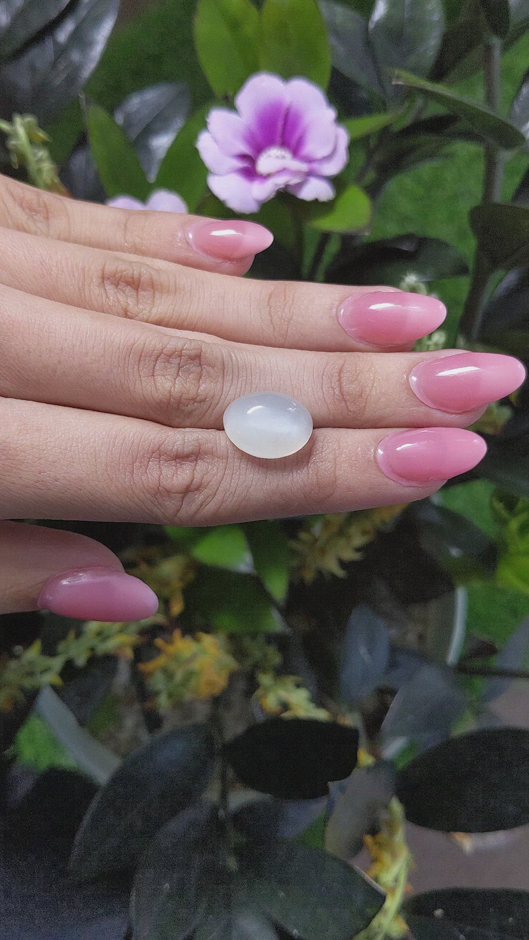 10.20 Ct. Cabochon Moonstone from Ceylon (Sri Lanka) Size Video
