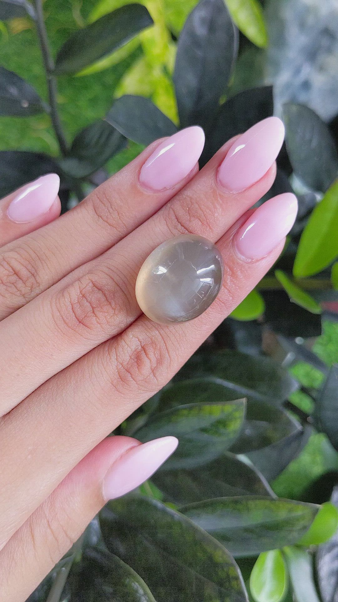 41.97 Ct. Cabochon Moonstone from Ceylon (Sri Lanka) Size Video