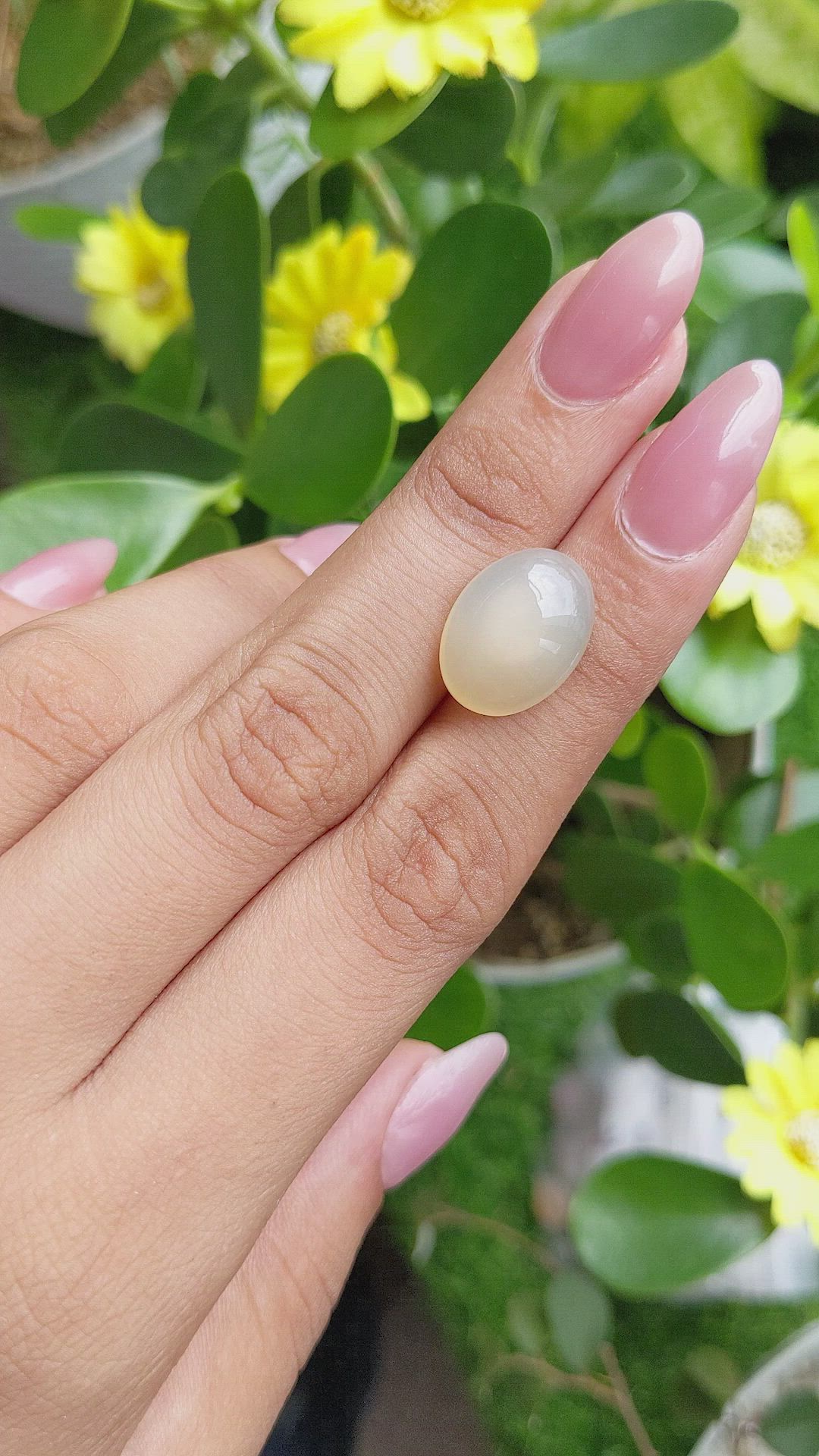 8.78 Ct. Cabochon Moonstone from Ceylon (Sri Lanka) Size Video