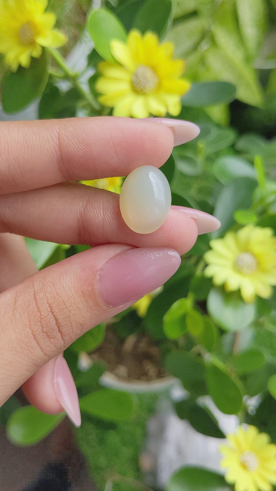 8.78 Ct. Cabochon Moonstone from Ceylon (Sri Lanka) Size Video