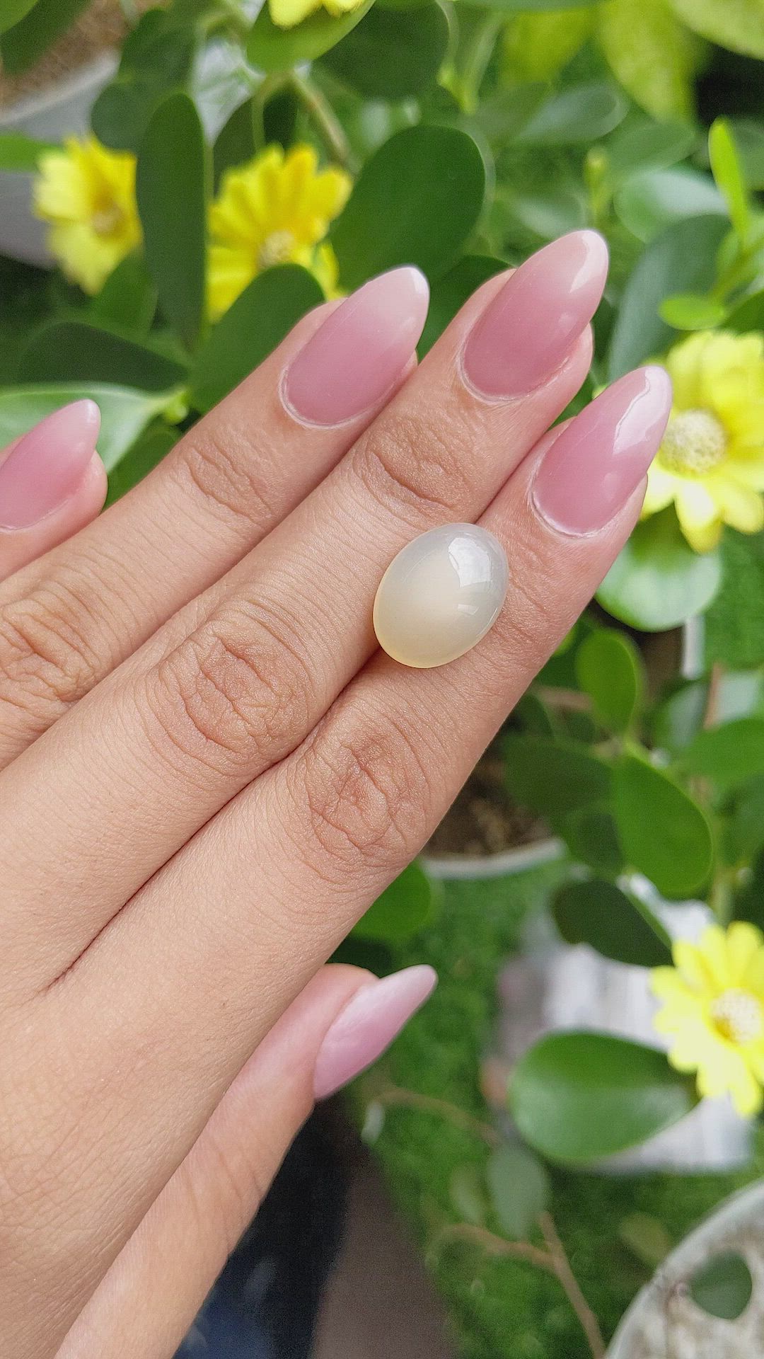 8.78 Ct. Cabochon Moonstone from Ceylon (Sri Lanka) Size Video