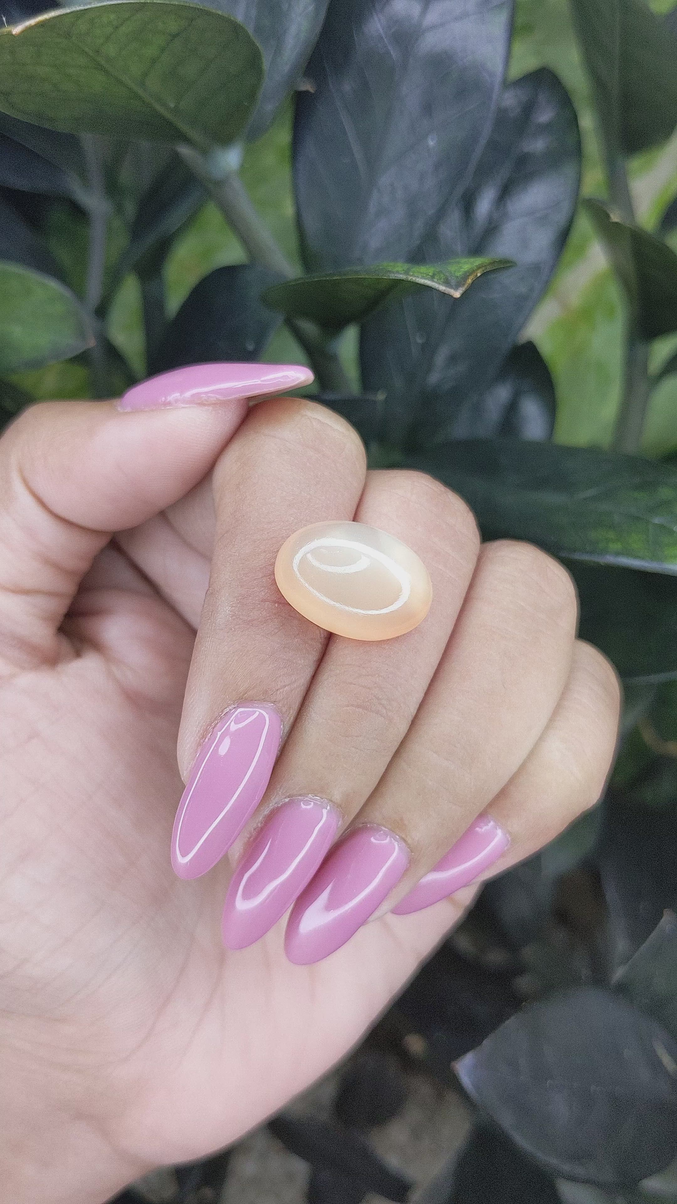14.24 Ct. Cabochon Moonstone from Ceylon (Sri Lanka) Size Video