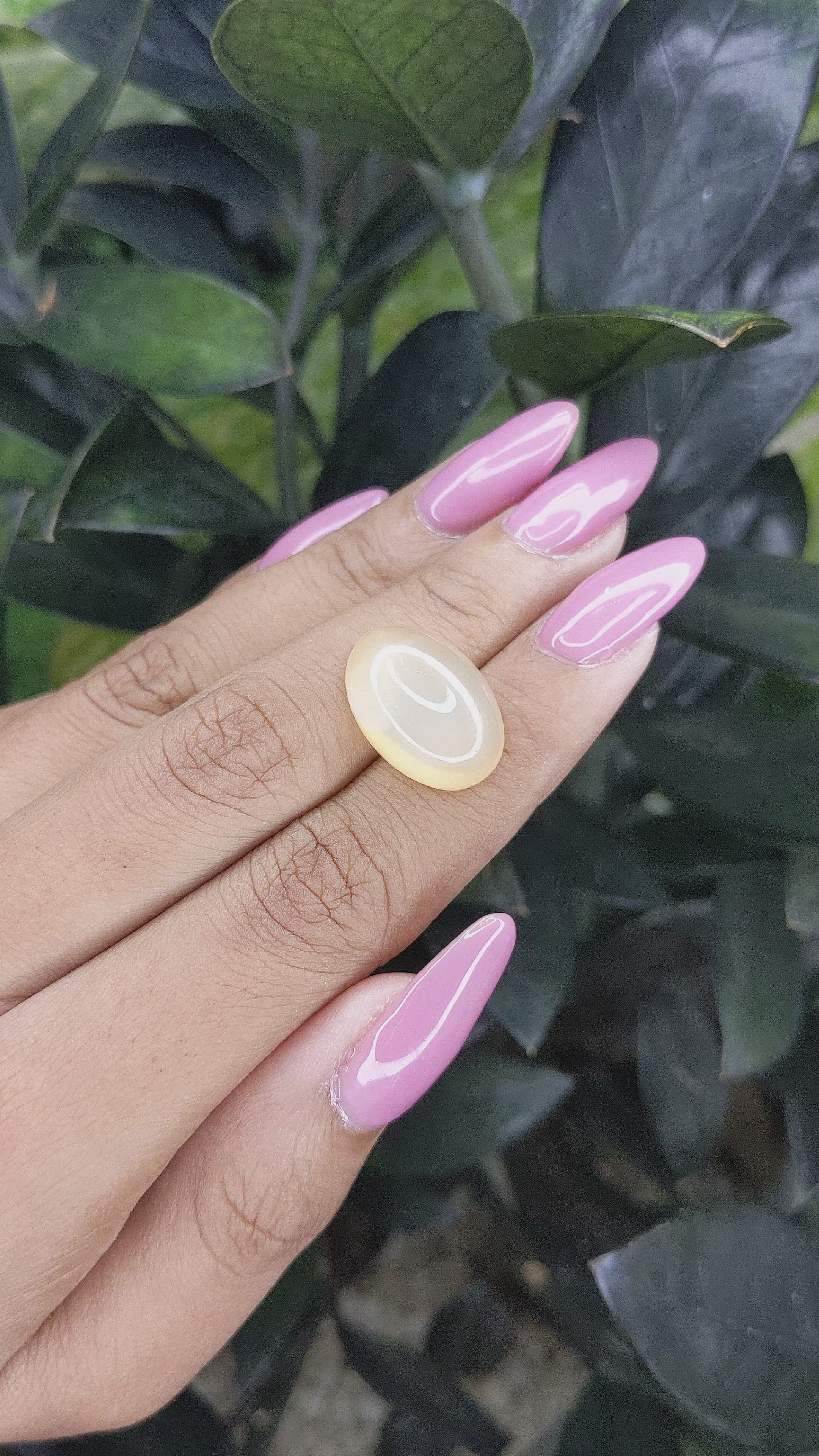 14.24 Ct. Cabochon Moonstone from Ceylon (Sri Lanka) Size Video