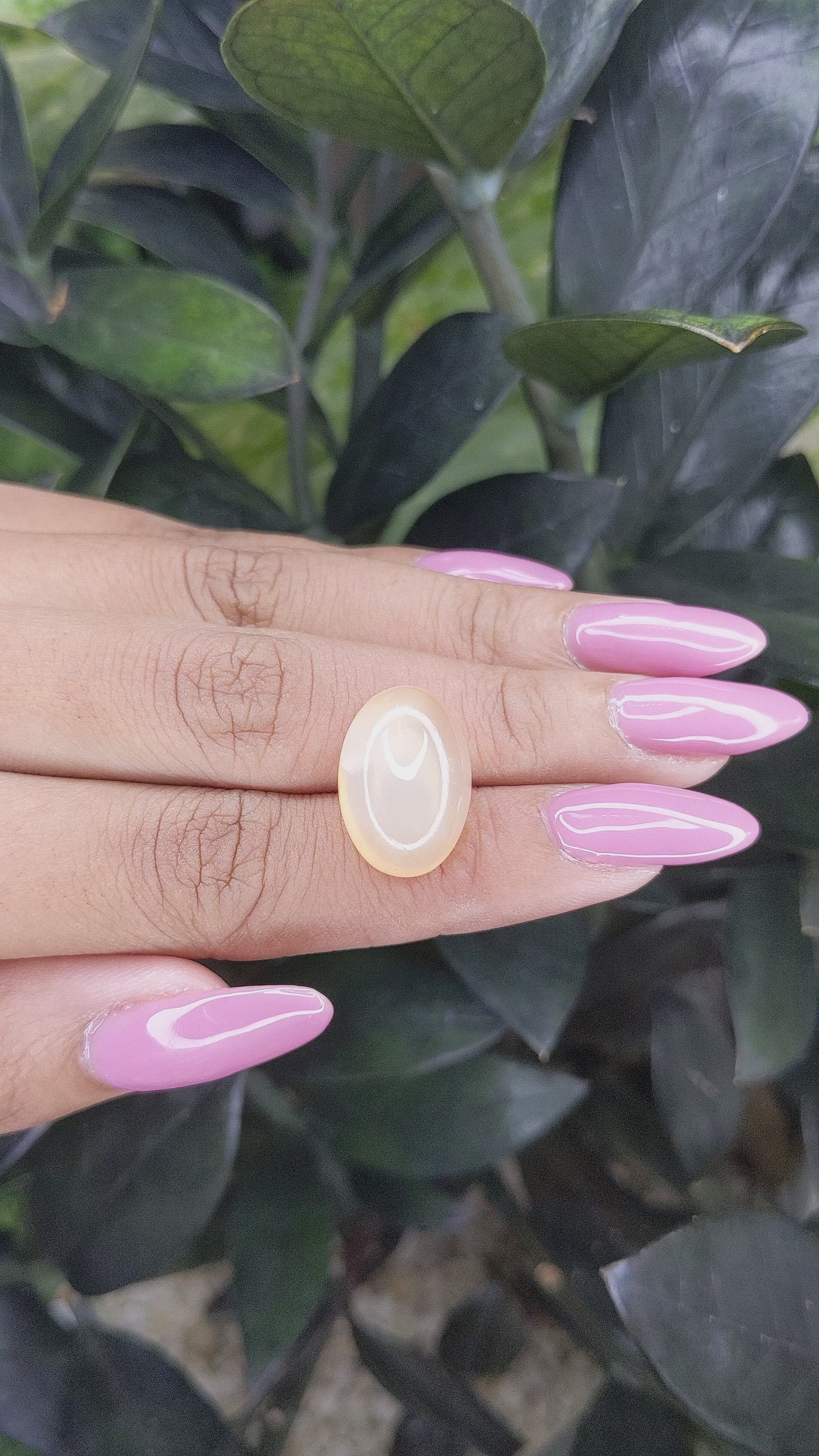14.24 Ct. Cabochon Moonstone from Ceylon (Sri Lanka) Size Video