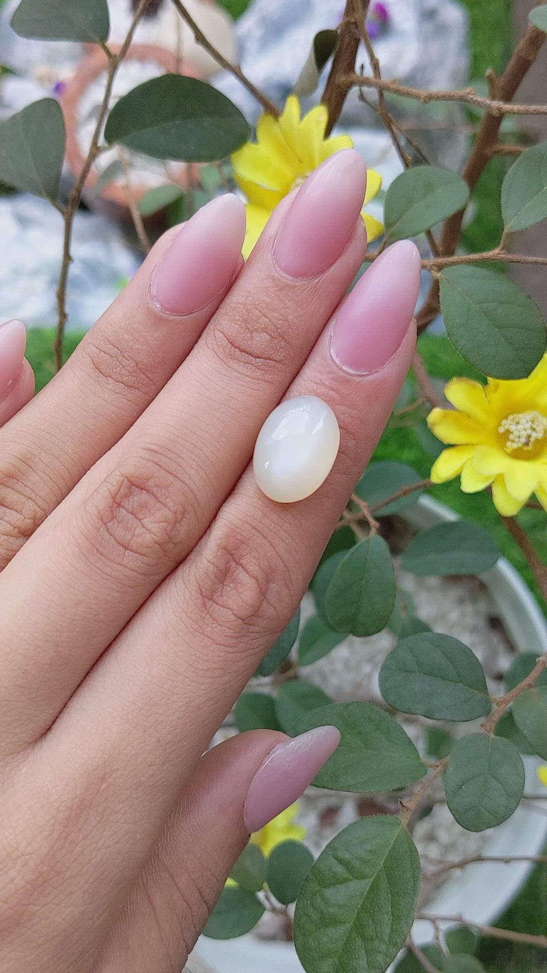 8.82 Ct. Cabochon Moonstone from Ceylon (Sri Lanka) Size Video