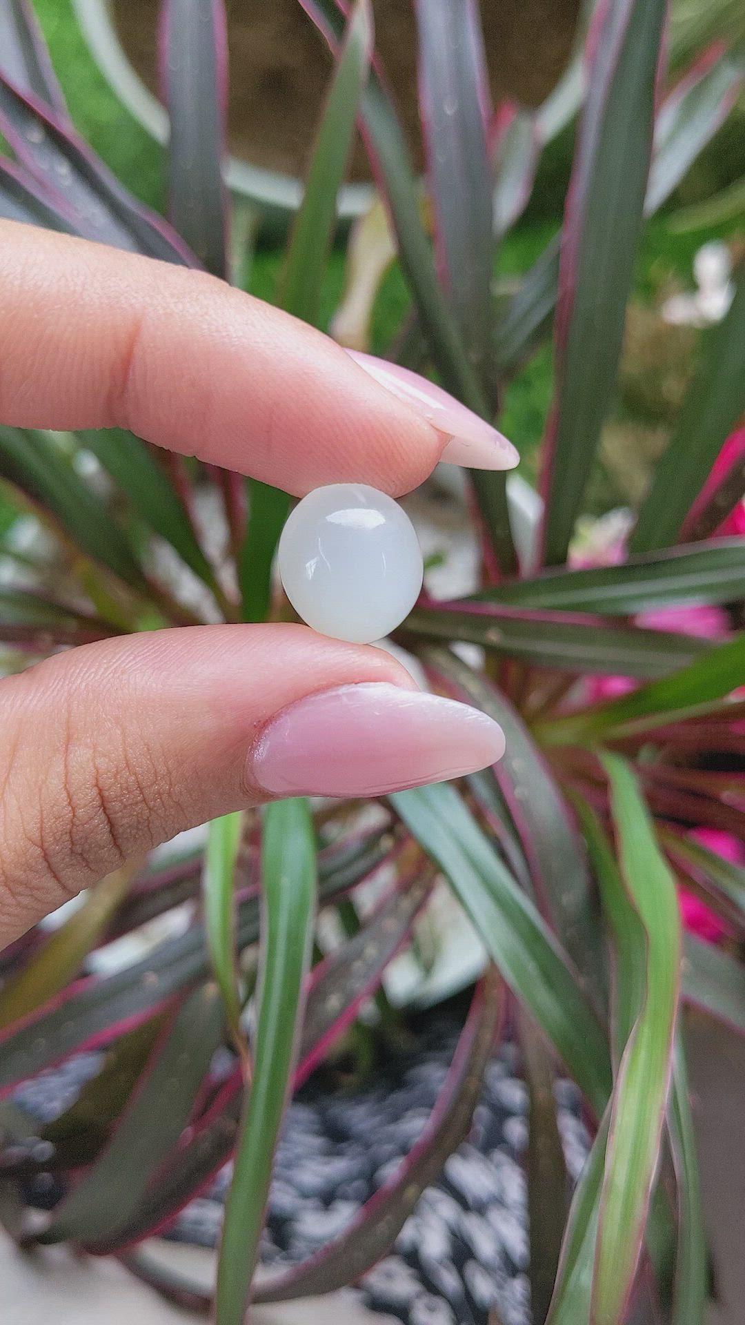 8.52 Ct. Cabochon Moonstone from Ceylon (Sri Lanka) Size Video