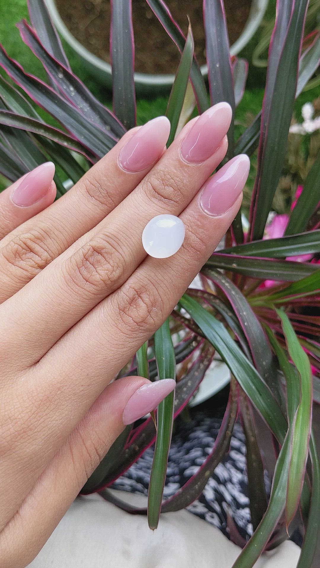 8.52 Ct. Cabochon Moonstone from Ceylon (Sri Lanka) Size Video