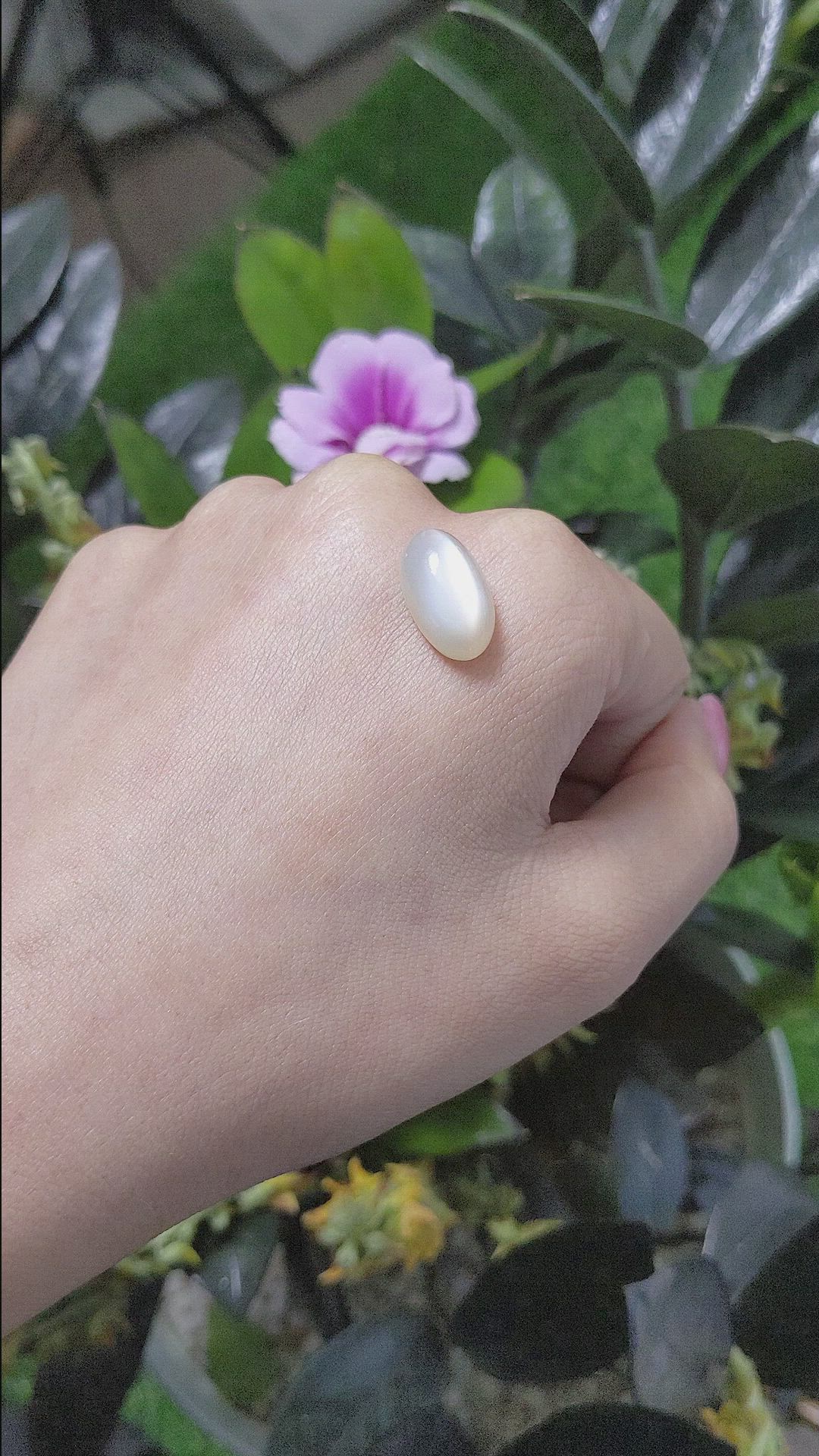8.99 Ct. Cabochon Moonstone from Ceylon (Sri Lanka) Size Video