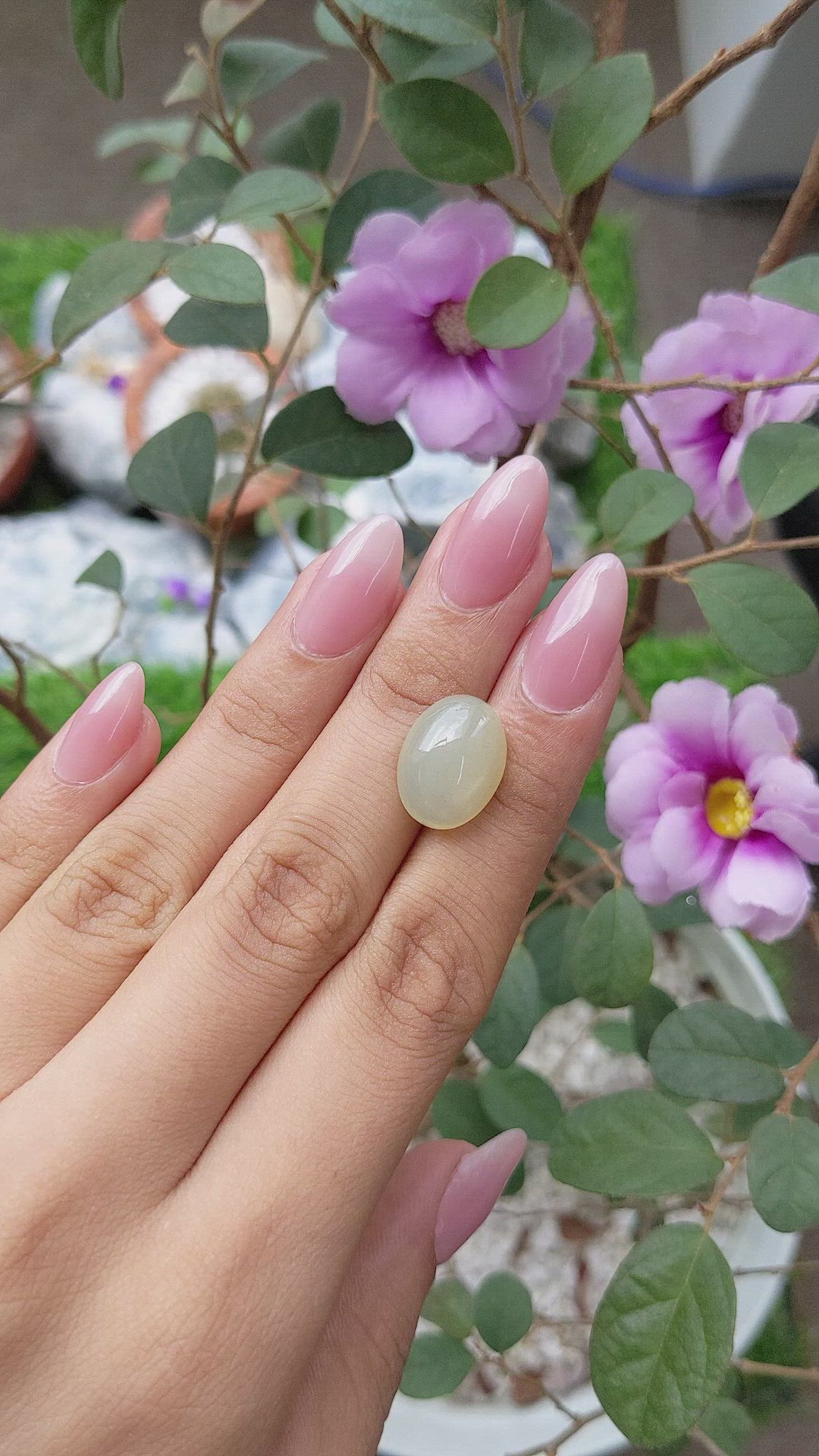 8.53 Ct. Cabochon Moonstone from Ceylon (Sri Lanka) Size Video