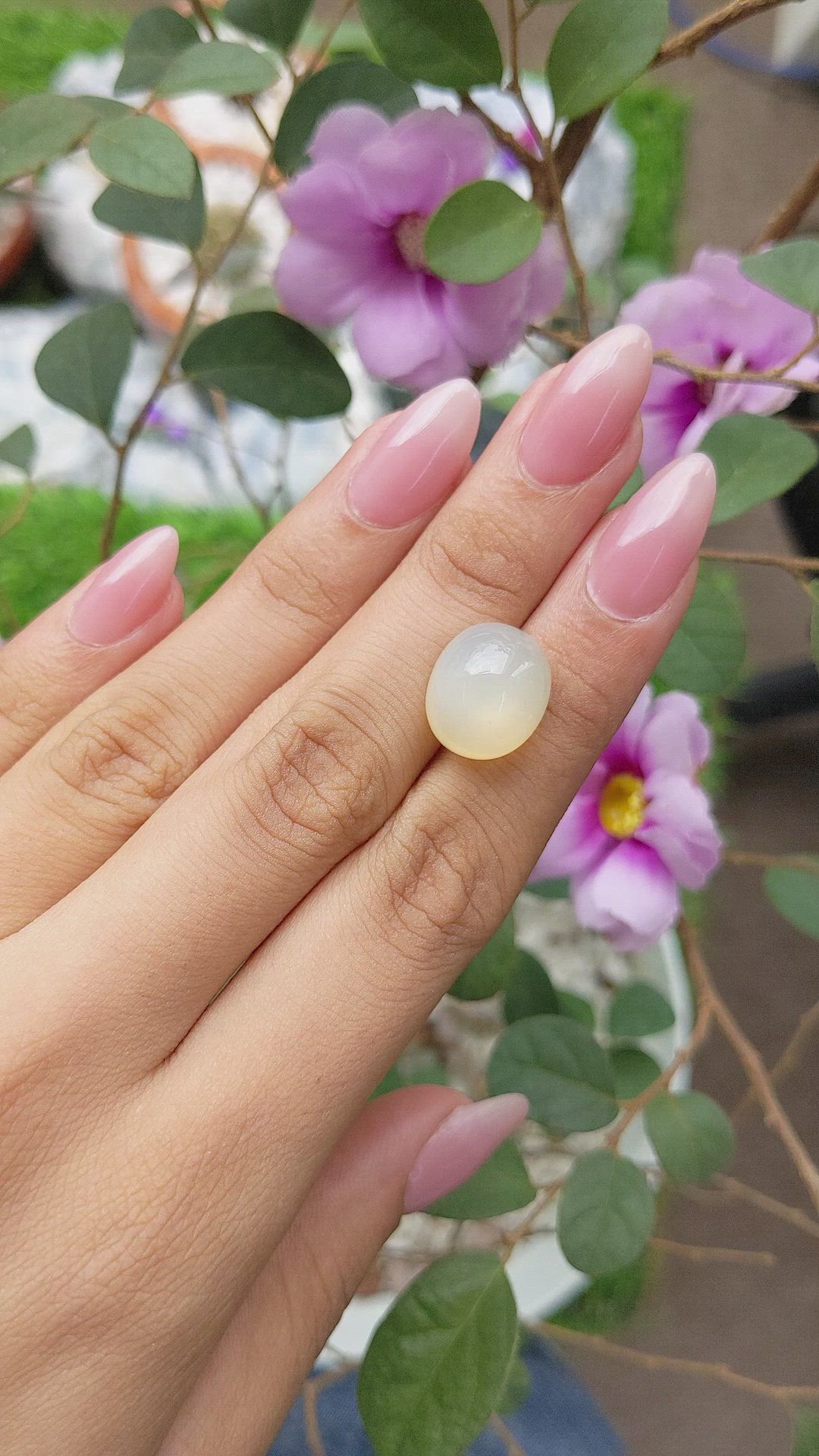 13.86 Ct. Cabochon Moonstone from Ceylon (Sri Lanka) Size Video