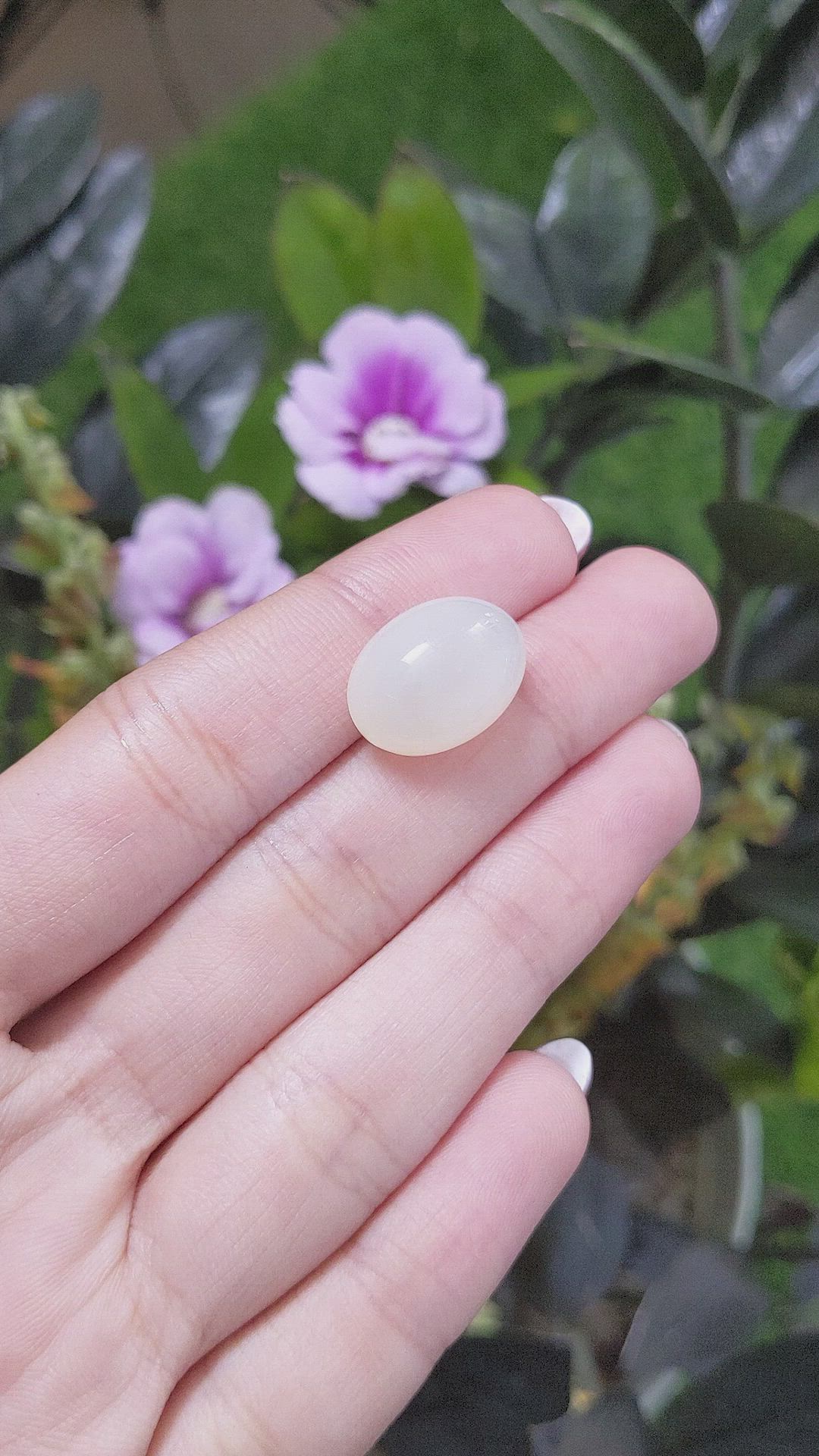 13.70 Ct. Cabochon Moonstone from Ceylon (Sri Lanka) Size Video