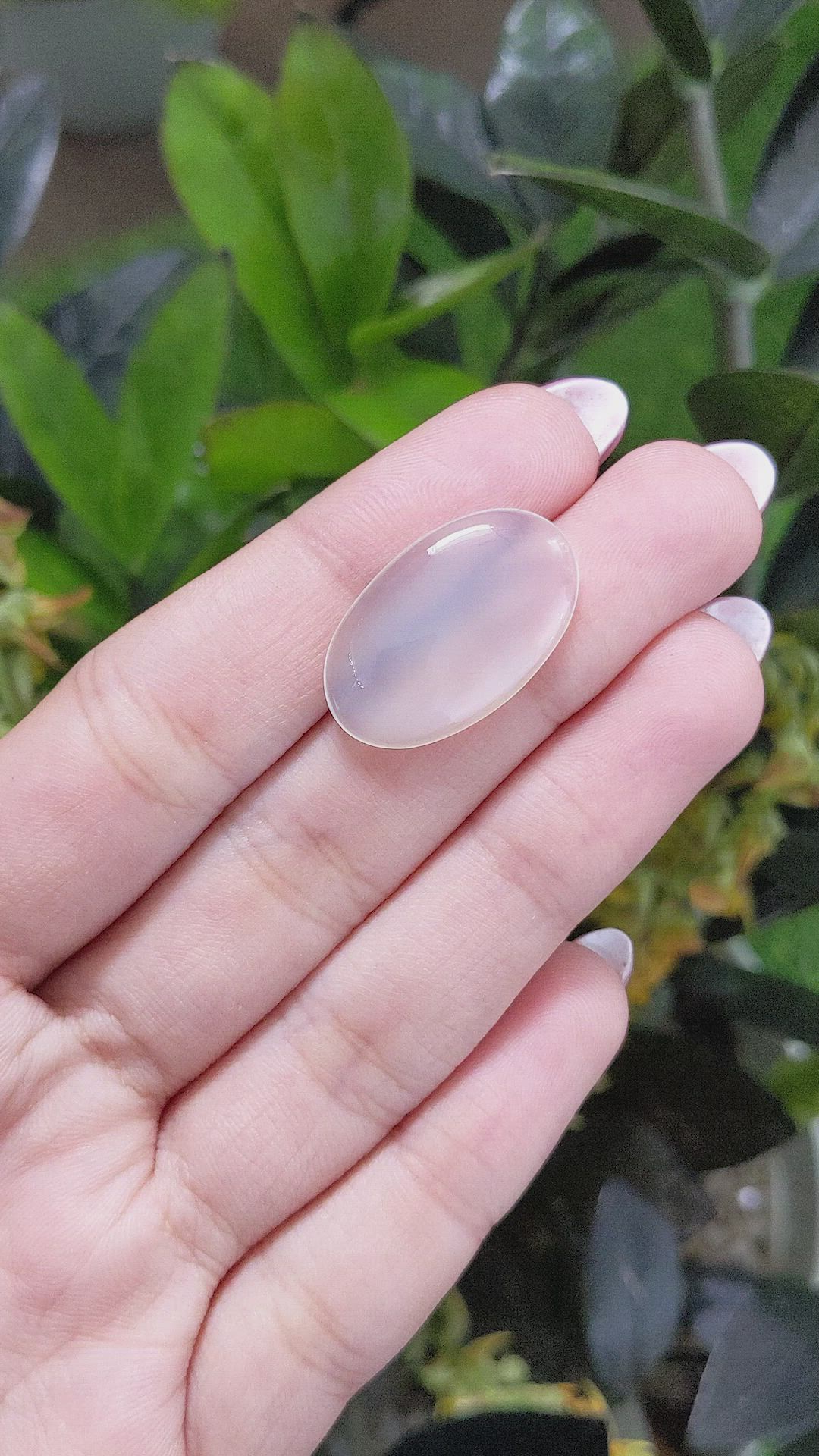 12.94 Ct. Cabochon Moonstone from Ceylon (Sri Lanka) Size Video
