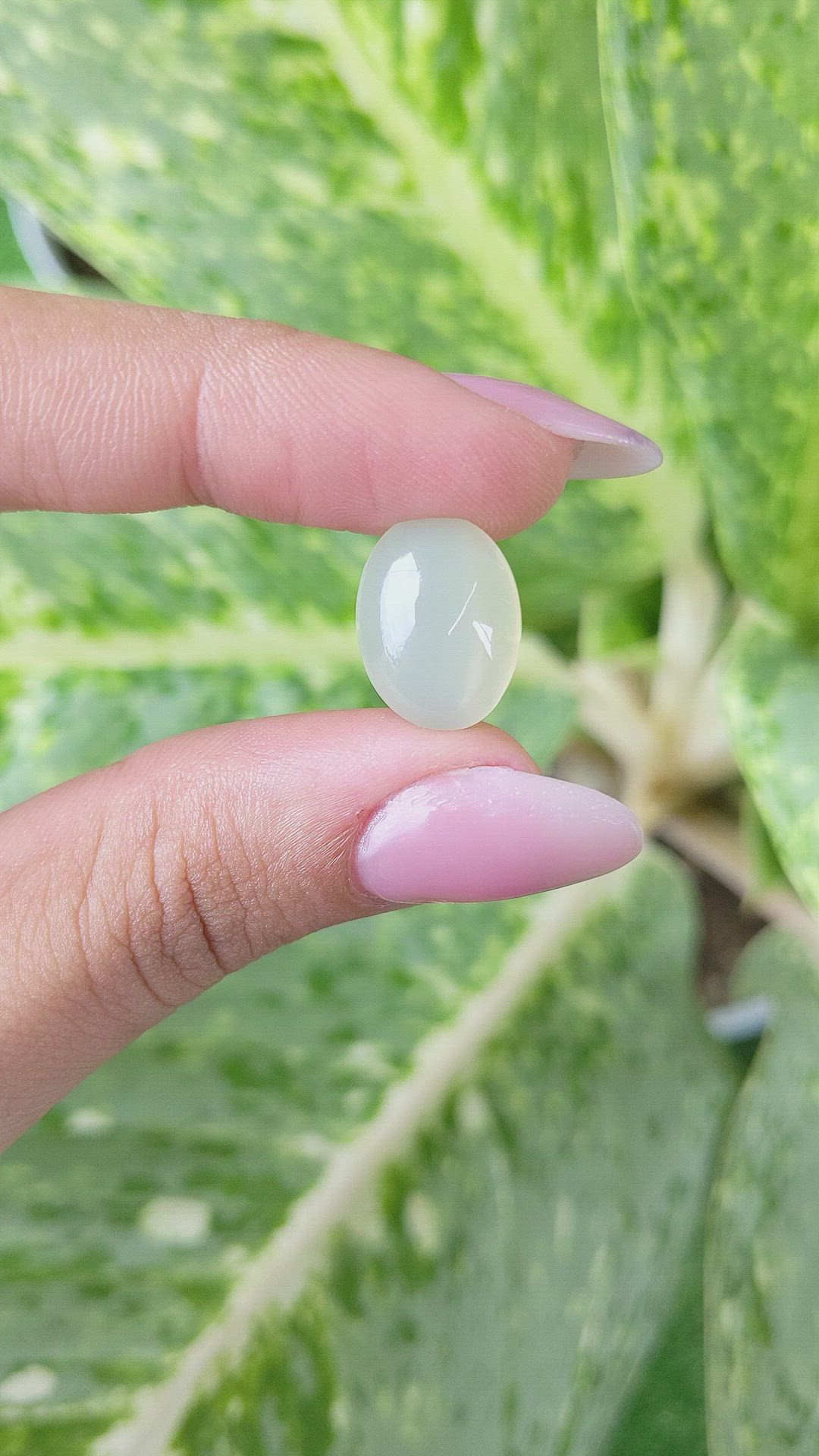 9.06 Ct. Cabochon Moonstone from Ceylon (Sri Lanka) Size Video