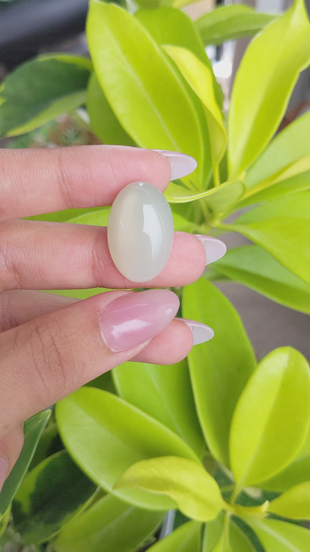 21.23 Ct. Cabochon Moonstone from Ceylon (Sri Lanka) Size Video