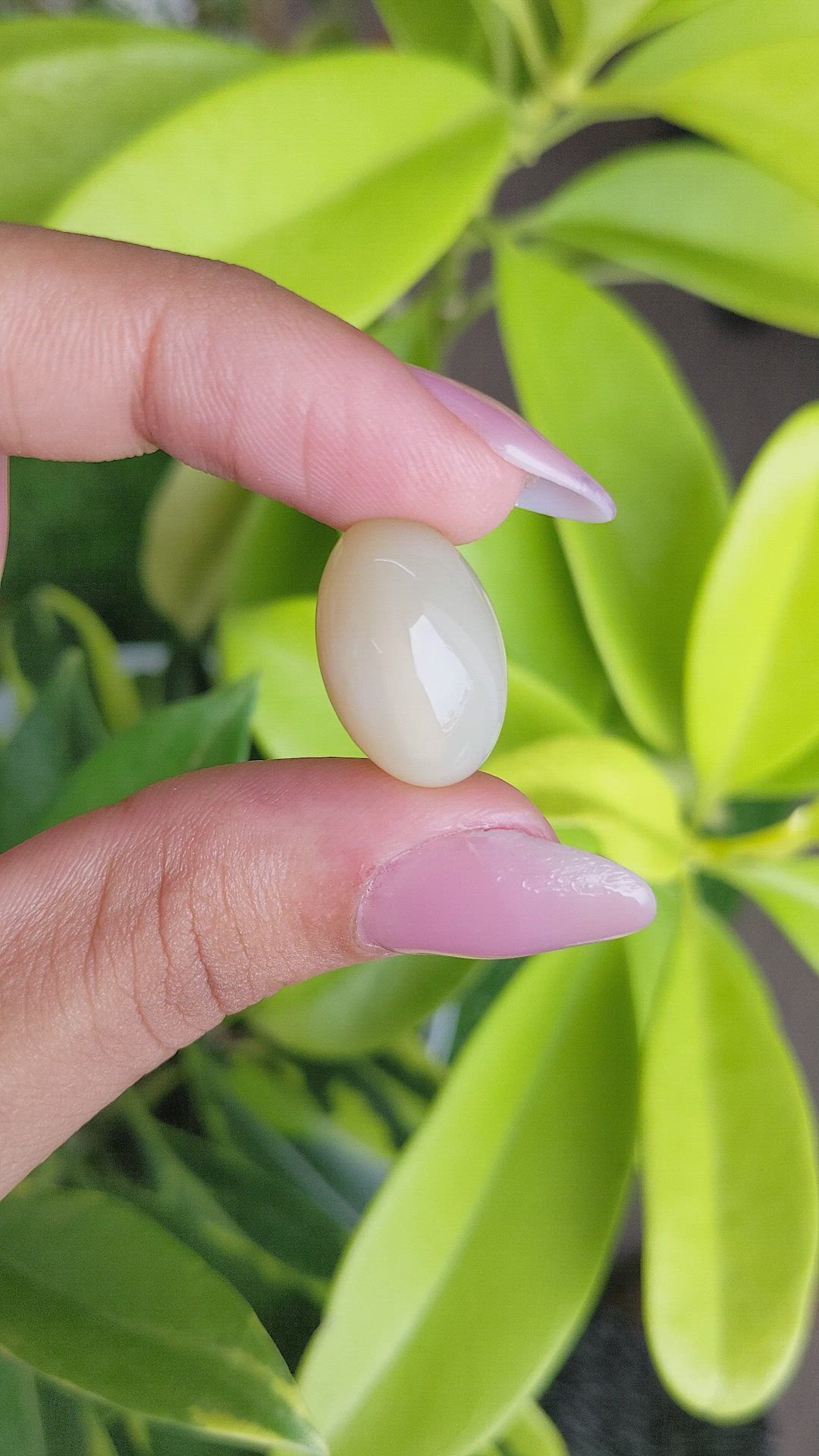 18.02 Ct. Cabochon Moonstone from Ceylon (Sri Lanka) Size Video