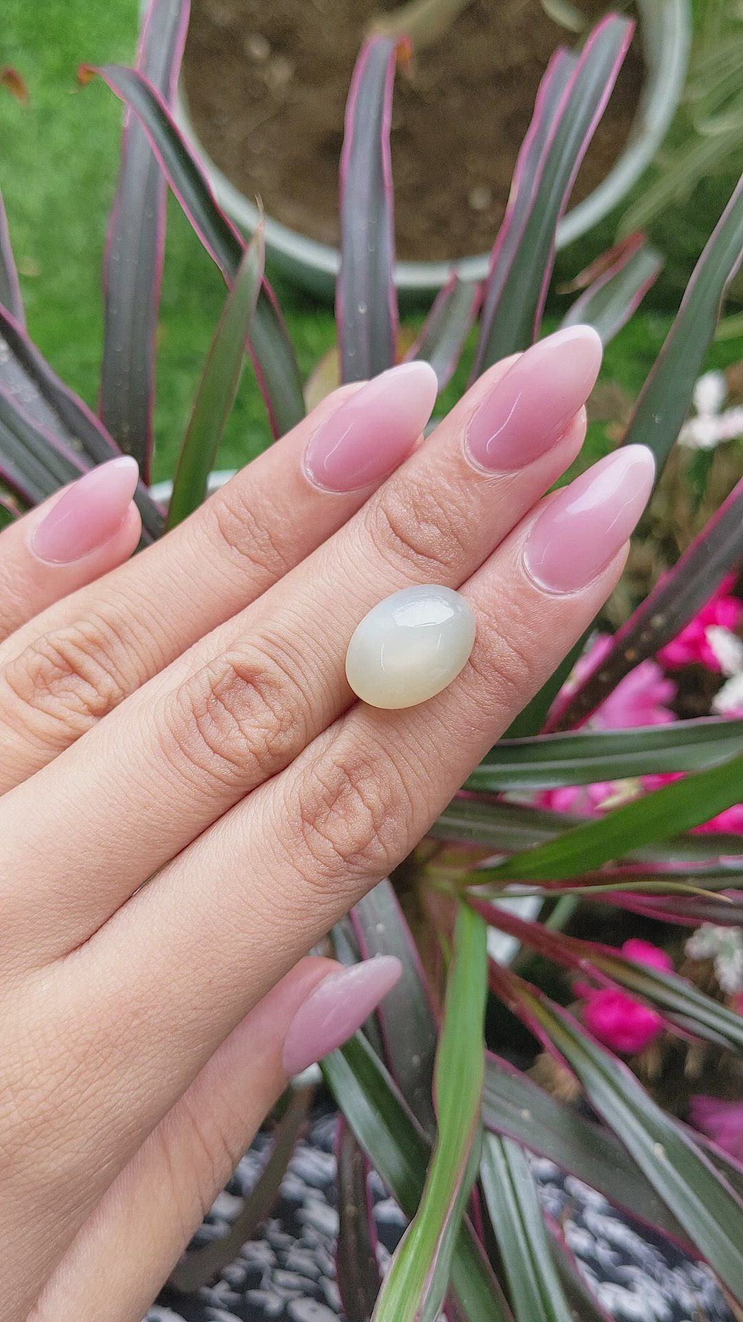 12.47 Ct. Cabochon Moonstone from Ceylon (Sri Lanka) Size Video