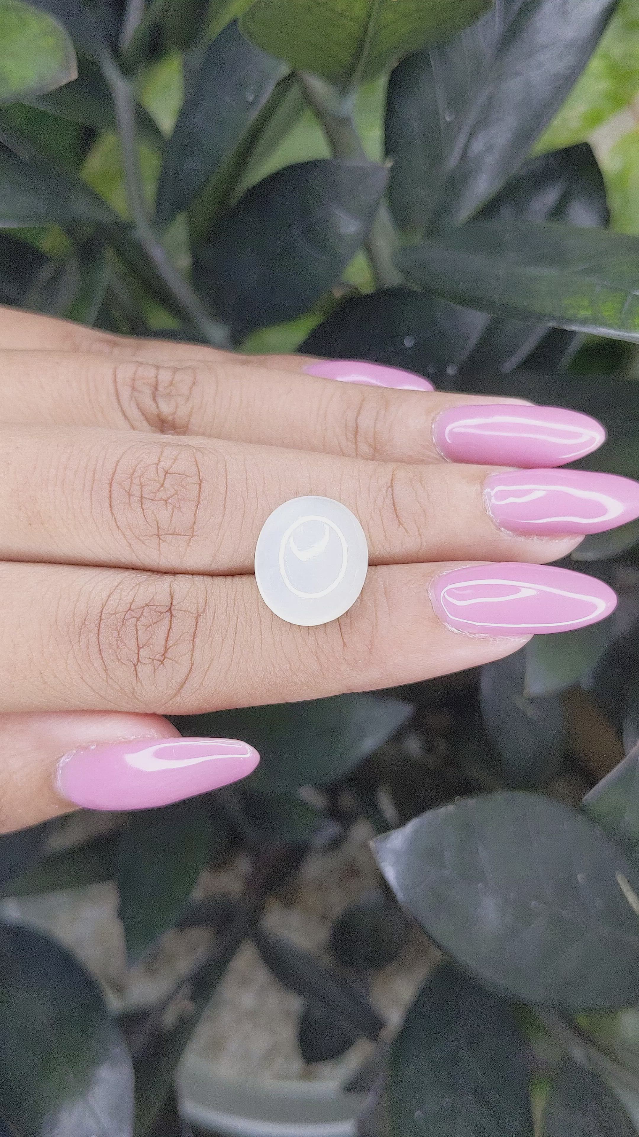 9.99 Ct. Cabochon Moonstone from Ceylon (Sri Lanka) Size Video