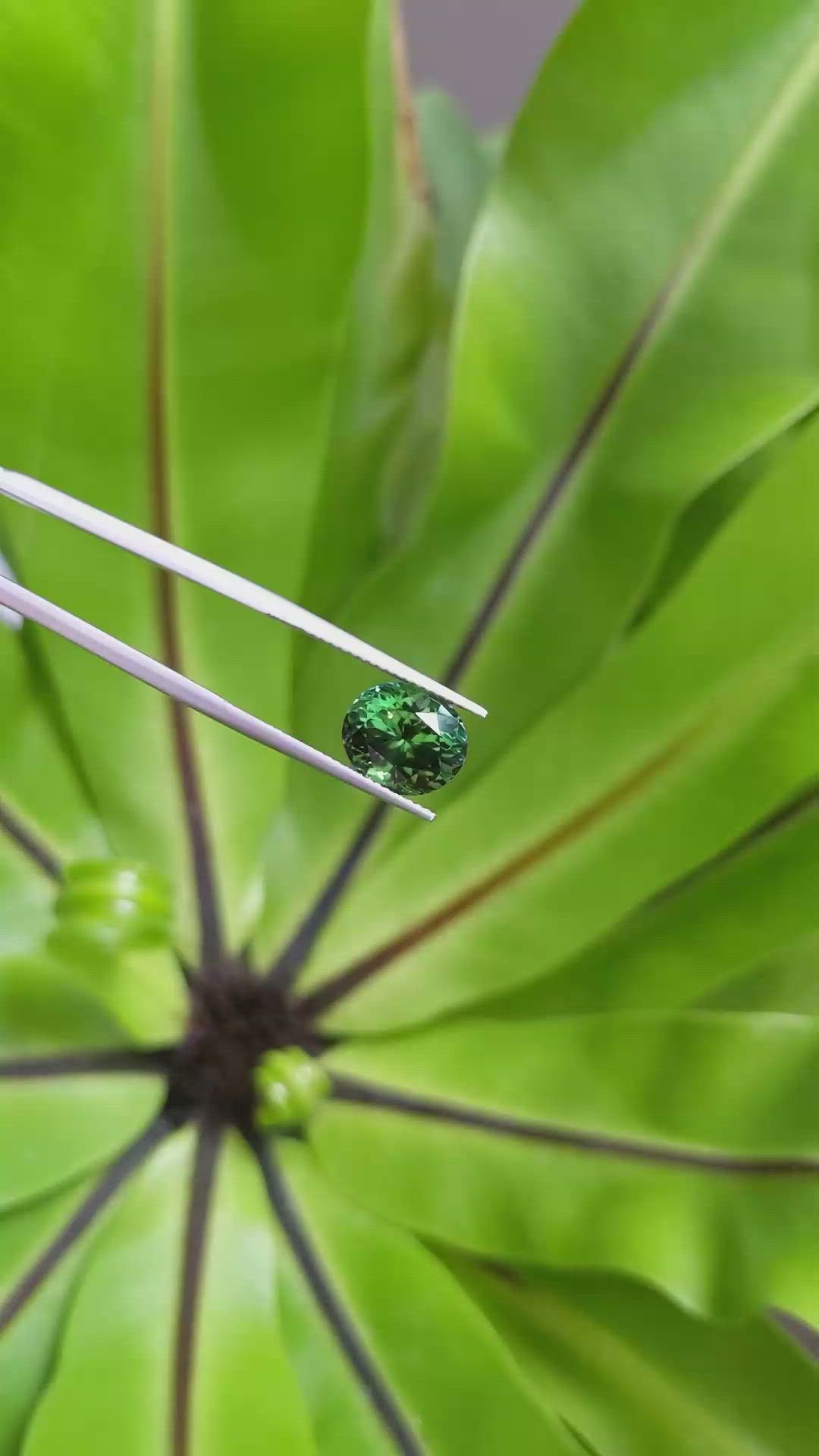 4.10 Ct. Tourmaline from Mozambique Size Video