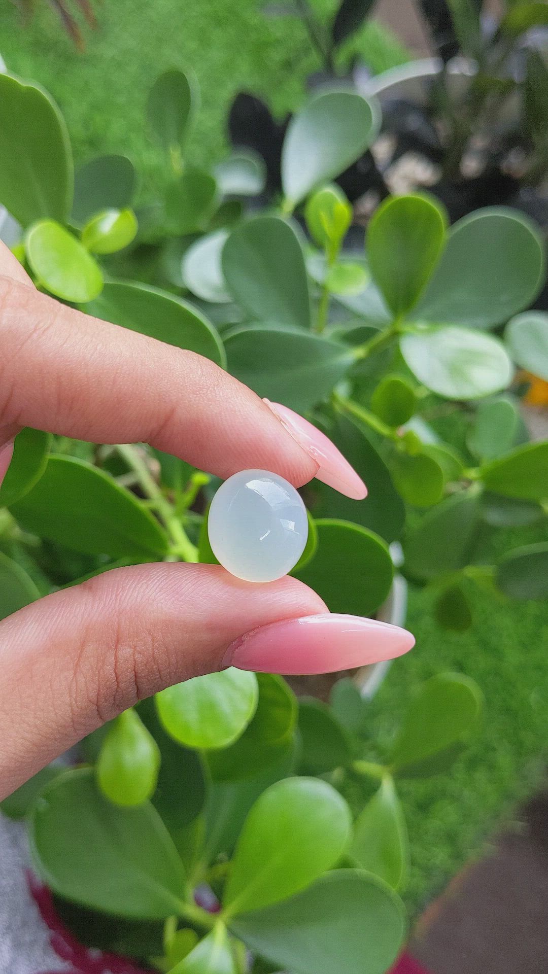 12.03 Ct. Cabochon Moonstone from Ceylon (Sri Lanka) Size Video