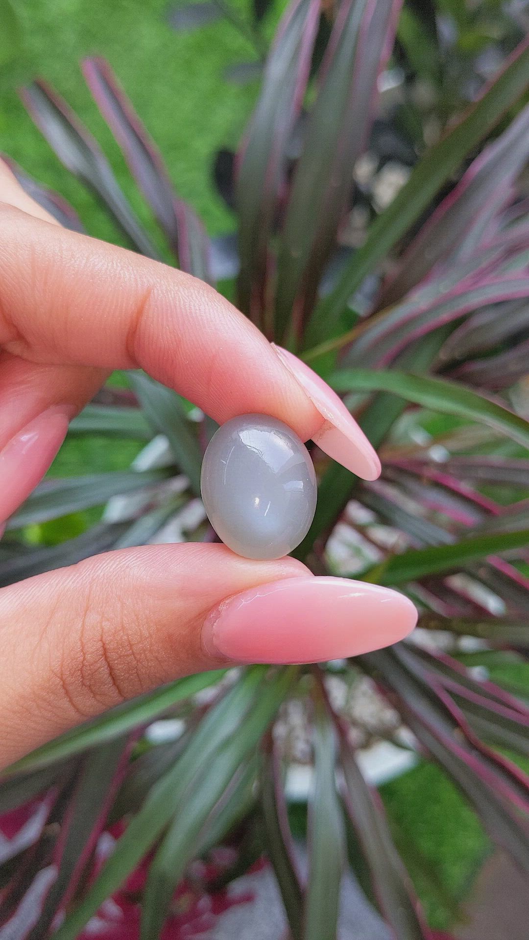 15.32 Ct. Cabochon Moonstone from Ceylon (Sri Lanka) Size Video