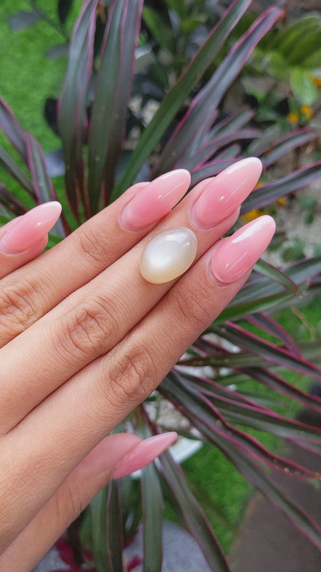 16.10 Ct. Cabochon Moonstone from Ceylon (Sri Lanka) Size Video