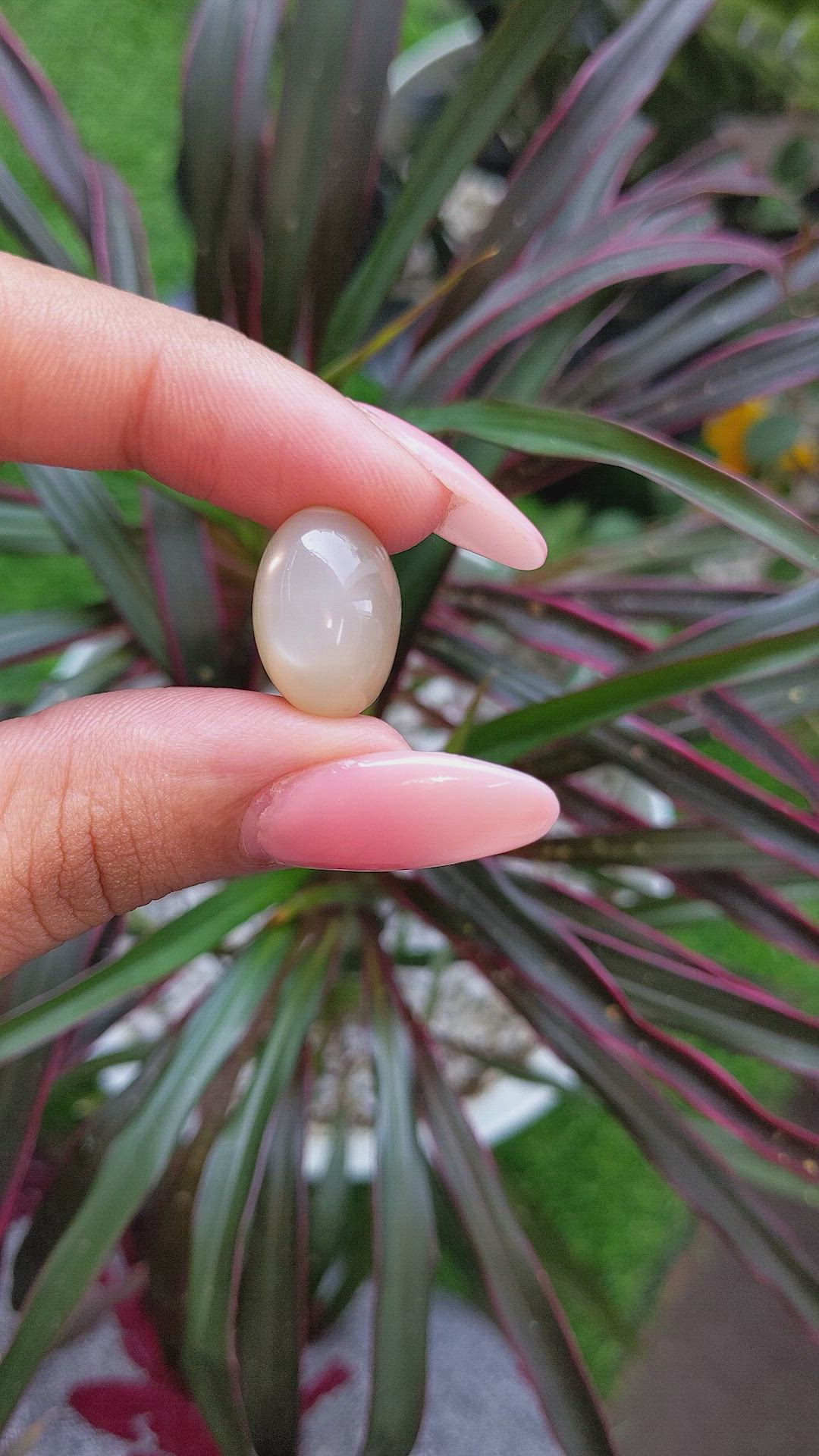 16.10 Ct. Cabochon Moonstone from Ceylon (Sri Lanka) Size Video