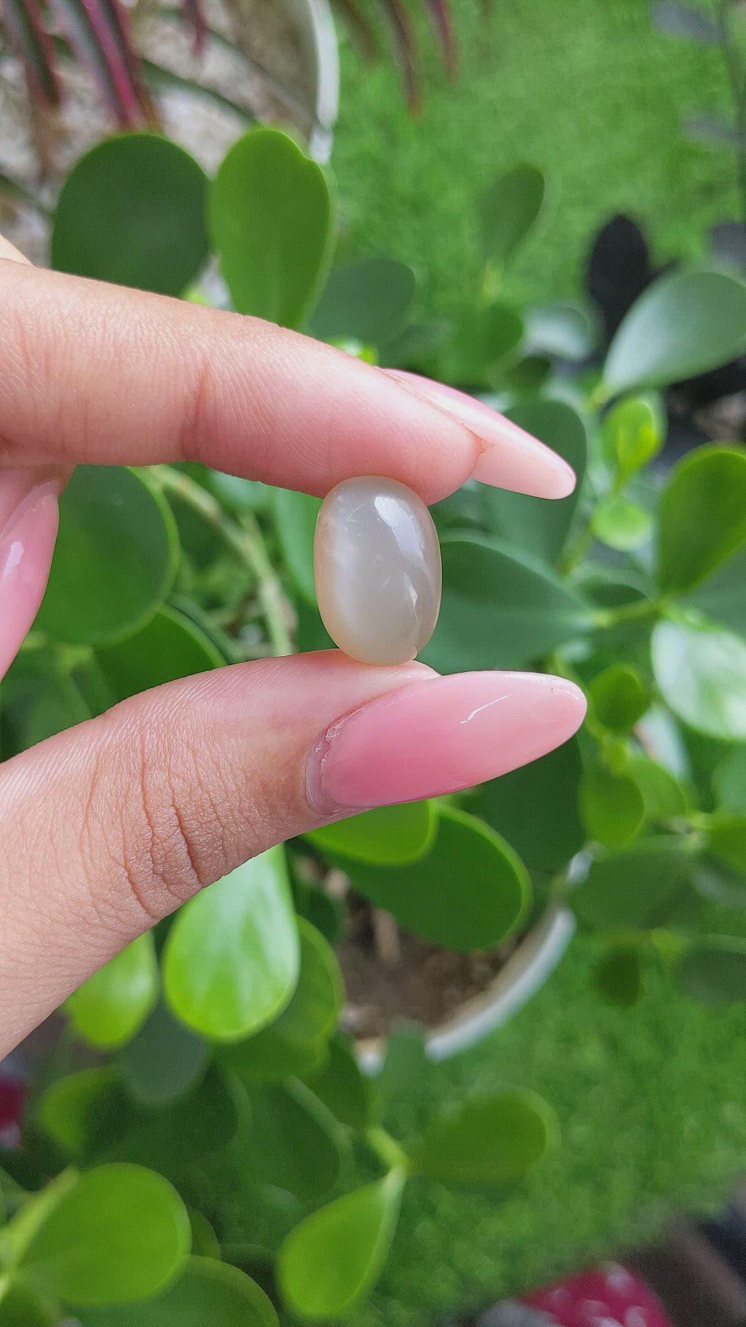 11.51 Ct. Cabochon Moonstone from Ceylon (Sri Lanka) Size Video