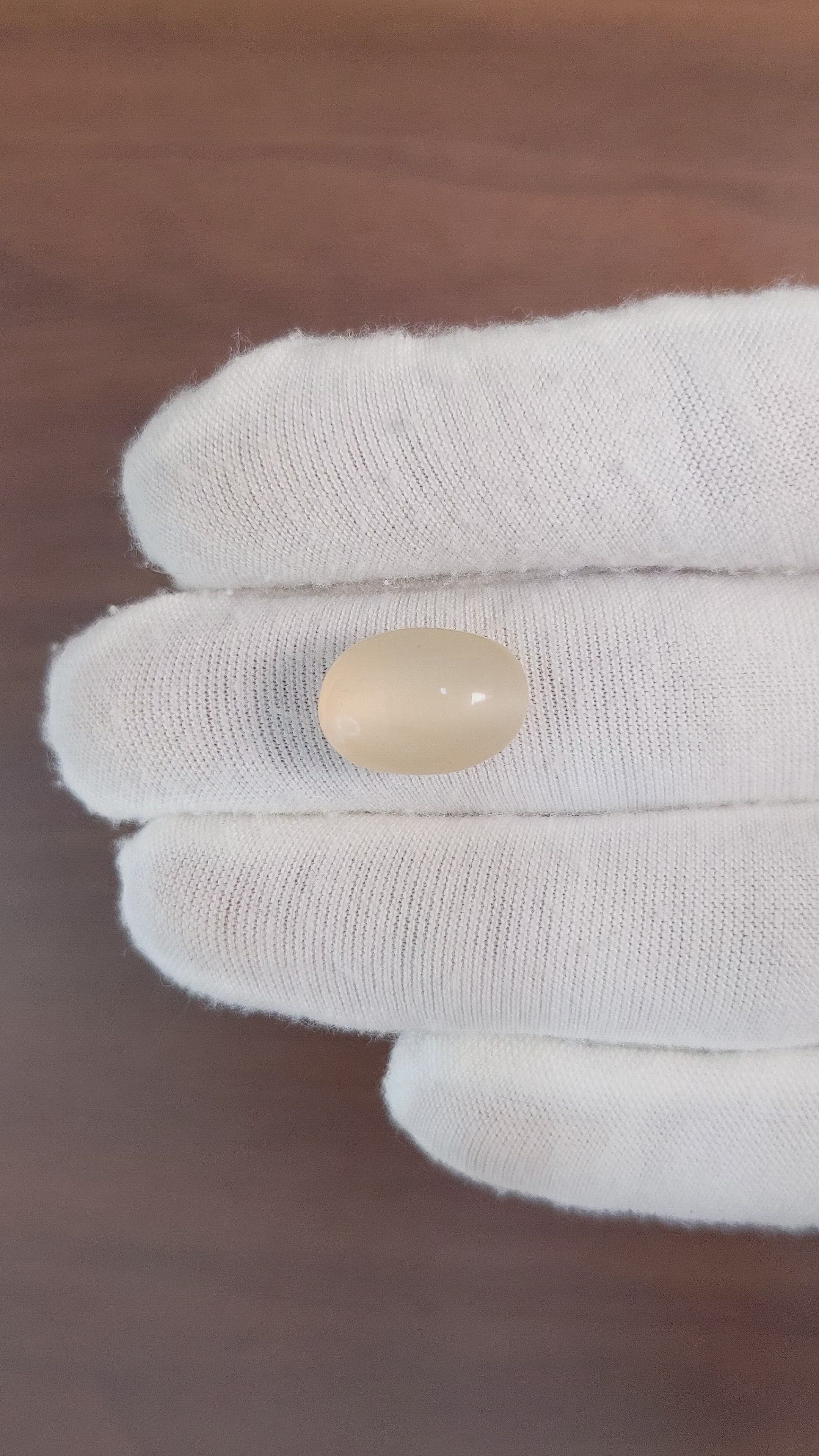 11.71 Ct. Cabochon Moonstone from Ceylon (Sri Lanka) Size Video